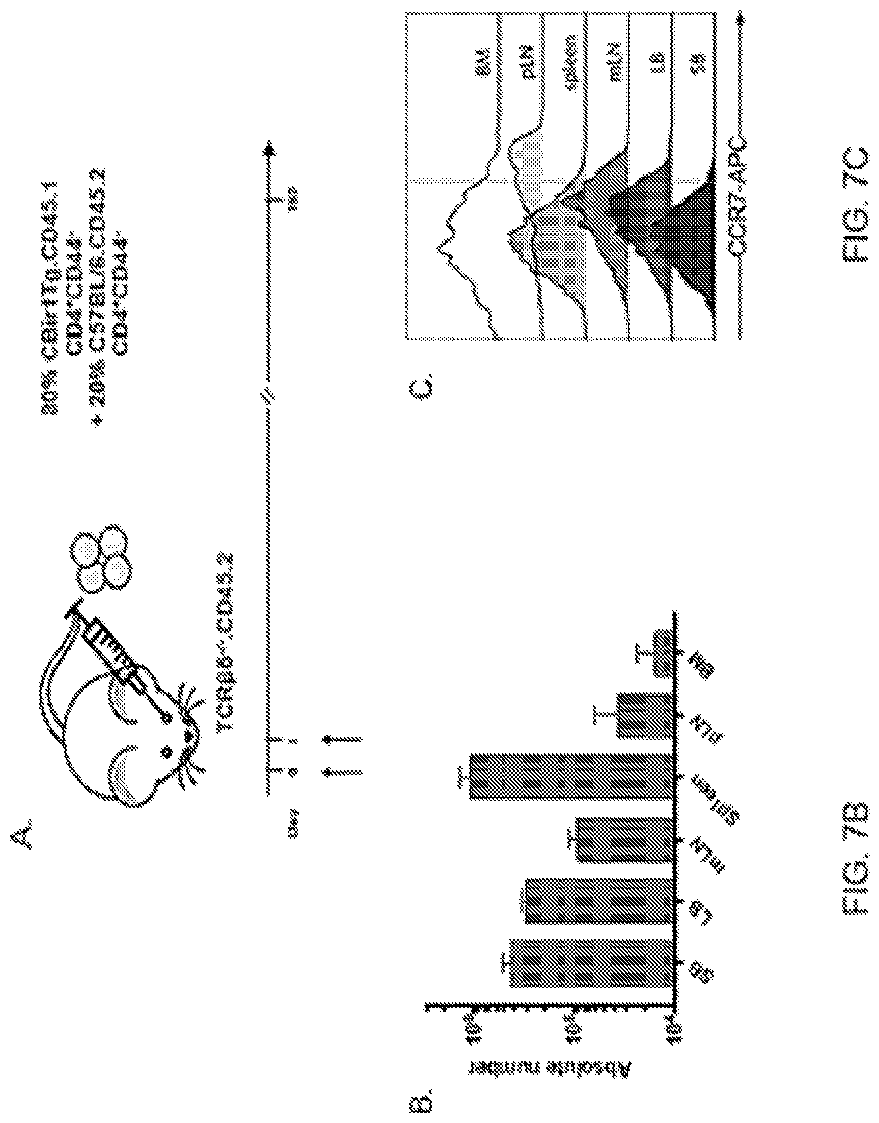 Patent US12350317 Figure 13 – Immunotherapy for the treatment and prevention of inflammatory bowel disease