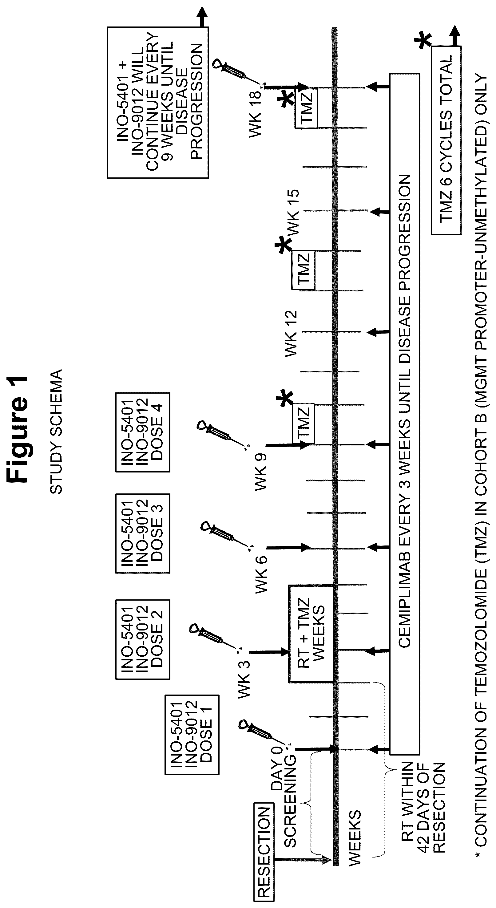 Patent US12350318 Figure 1 – Combination therapy to treat brain cancer