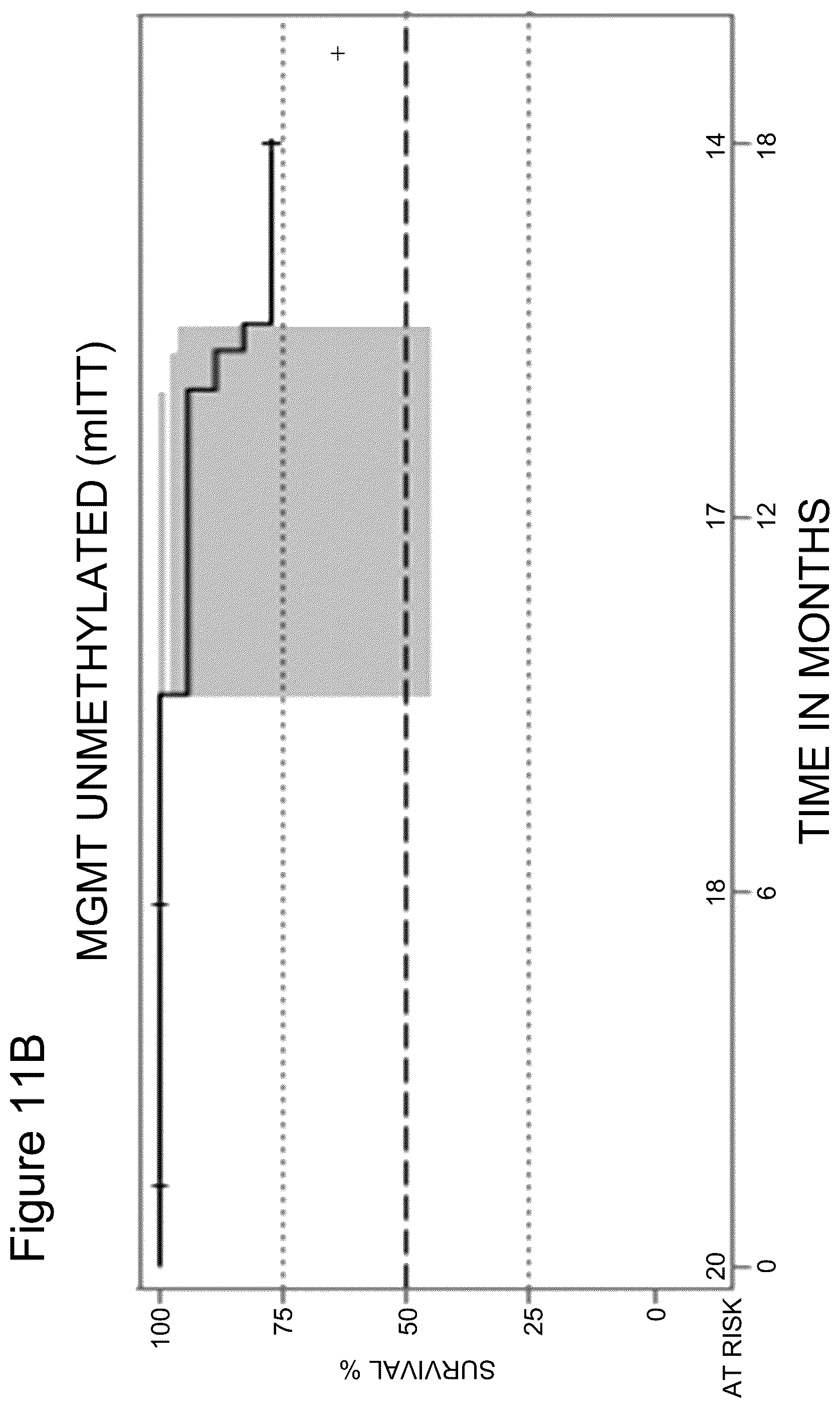 Patent US12350318 Figure 15 – Combination therapy to treat brain cancer