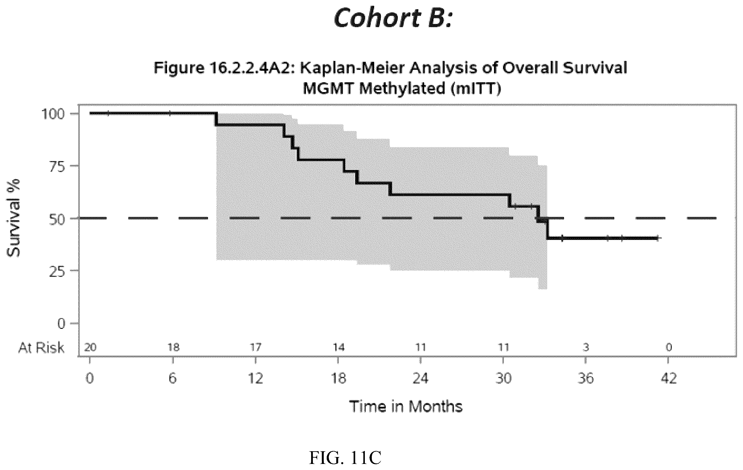 Patent US12350318 Figure 16 – Combination therapy to treat brain cancer