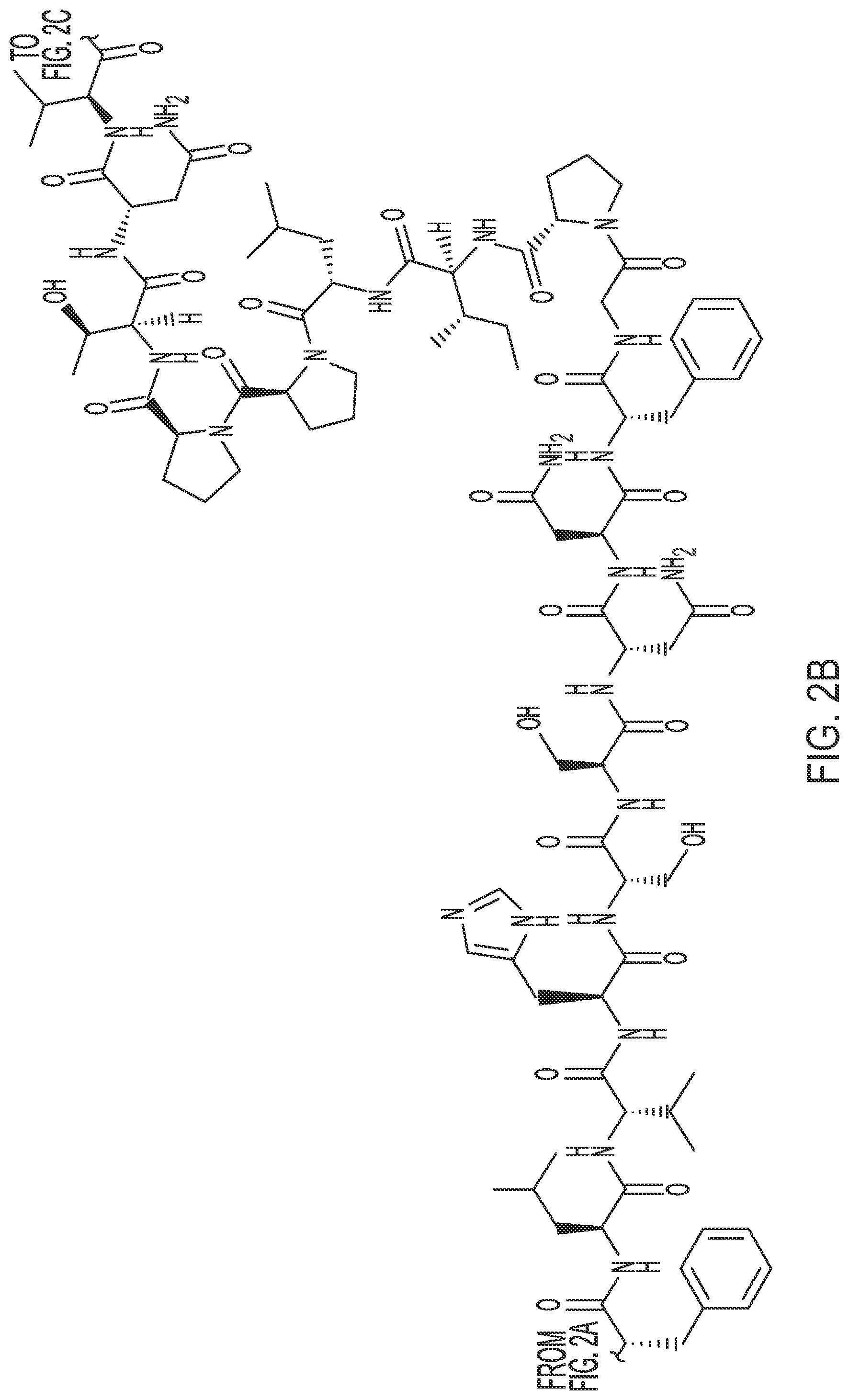 Patent US12350320 Figure 4 – Compositions comprising pharmaceutically acceptable salts of glucagon-like peptide-1 analogs and pharmaceutically acceptable salts of amylin analogs, and uses thereof