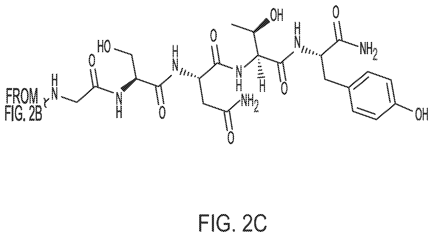 Patent US12350320 Figure 5 – Compositions comprising pharmaceutically acceptable salts of glucagon-like peptide-1 analogs and pharmaceutically acceptable salts of amylin analogs, and uses thereof