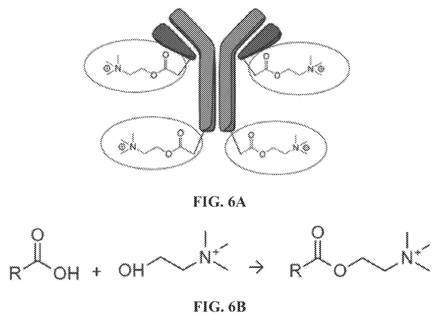 Patent US12350320 Figure 11 – Compositions comprising pharmaceutically acceptable salts of glucagon-like peptide-1 analogs and pharmaceutically acceptable salts of amylin analogs, and uses thereof