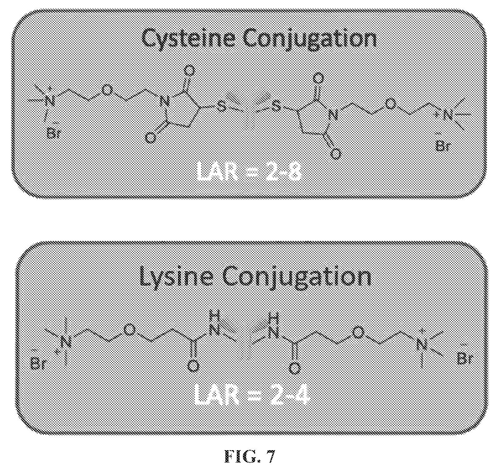 Patent US12350320 Figure 12 – Compositions comprising pharmaceutically acceptable salts of glucagon-like peptide-1 analogs and pharmaceutically acceptable salts of amylin analogs, and uses thereof
