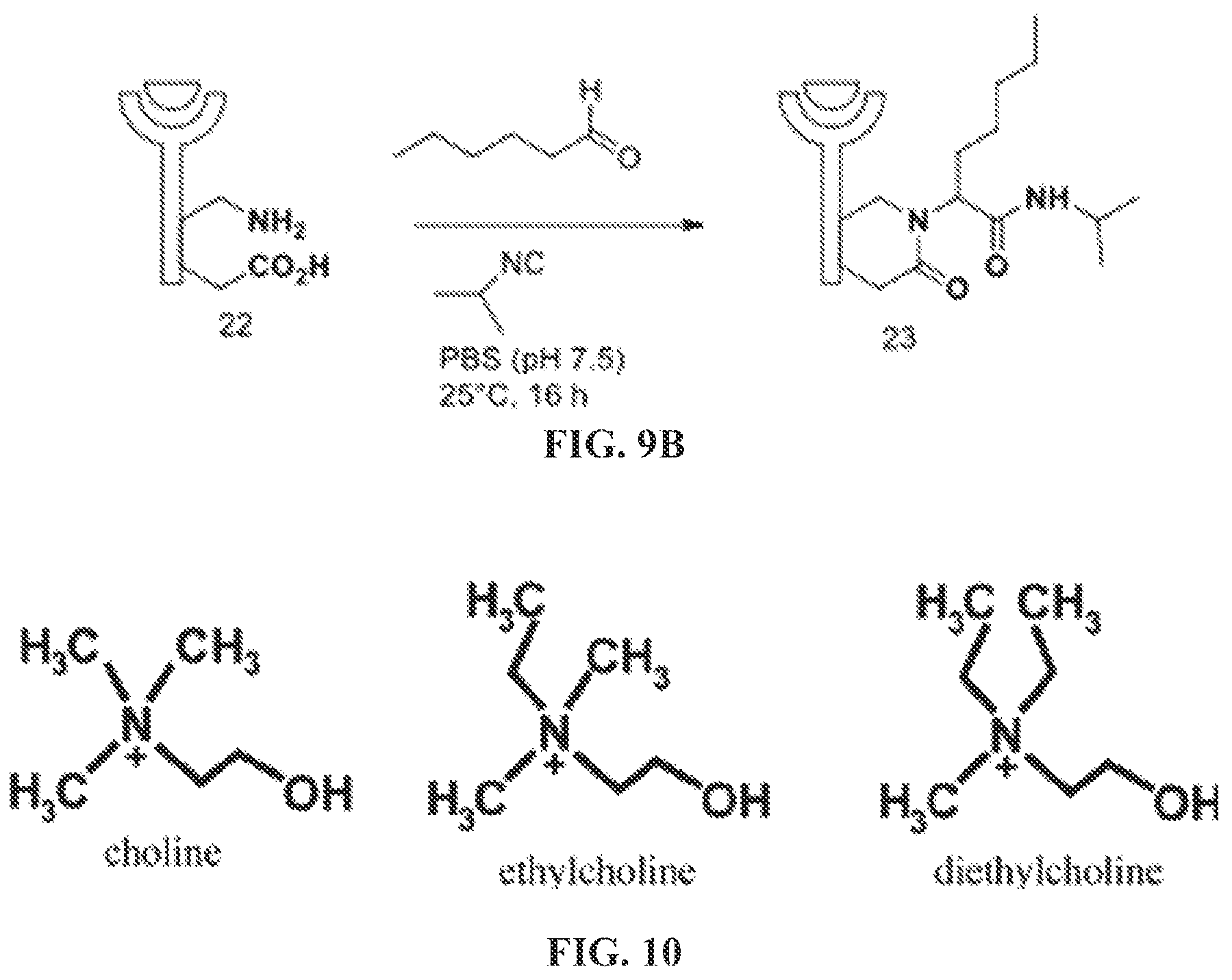 Patent US12350320 Figure 16 – Compositions comprising pharmaceutically acceptable salts of glucagon-like peptide-1 analogs and pharmaceutically acceptable salts of amylin analogs, and uses thereof