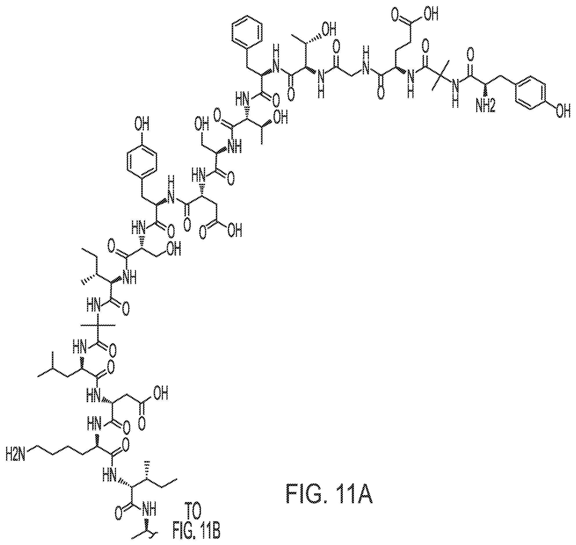 Patent US12350320 Figure 17 – Compositions comprising pharmaceutically acceptable salts of glucagon-like peptide-1 analogs and pharmaceutically acceptable salts of amylin analogs, and uses thereof