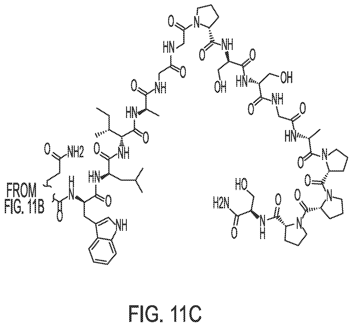 Patent US12350320 Figure 19 – Compositions comprising pharmaceutically acceptable salts of glucagon-like peptide-1 analogs and pharmaceutically acceptable salts of amylin analogs, and uses thereof