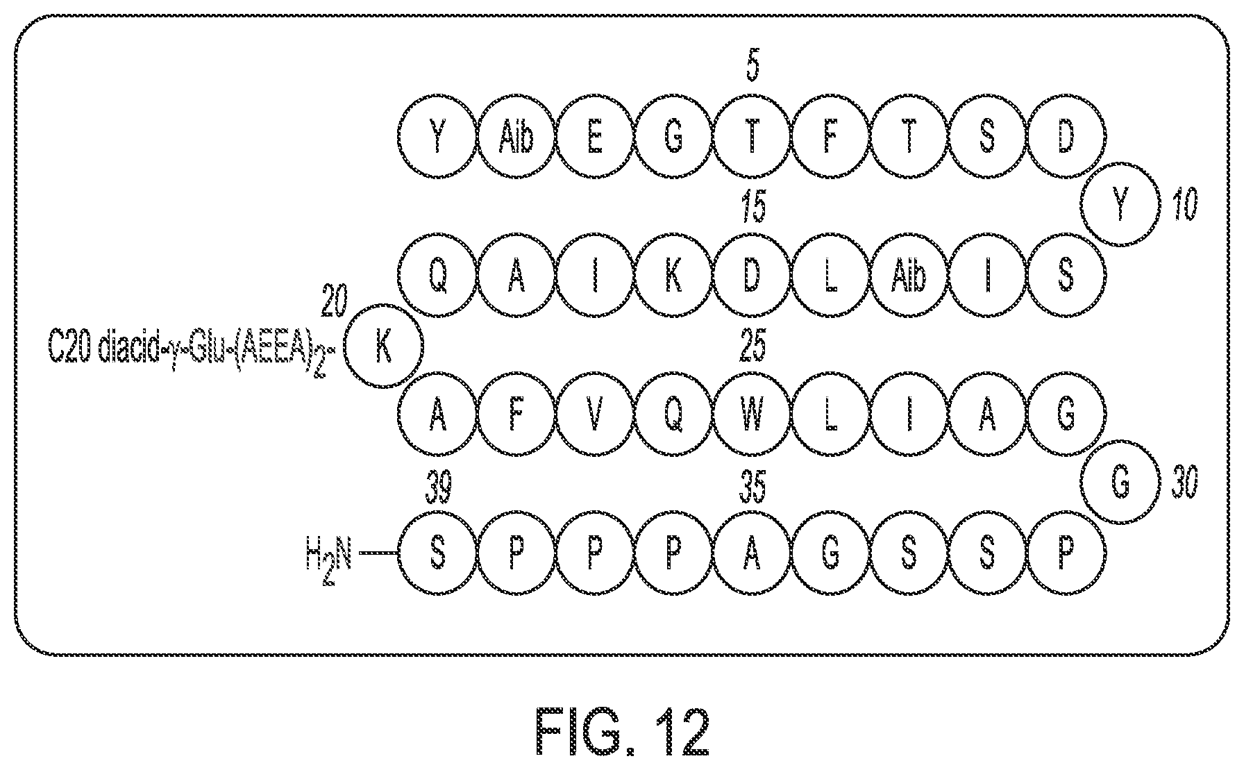Patent US12350320 Figure 20 – Compositions comprising pharmaceutically acceptable salts of glucagon-like peptide-1 analogs and pharmaceutically acceptable salts of amylin analogs, and uses thereof