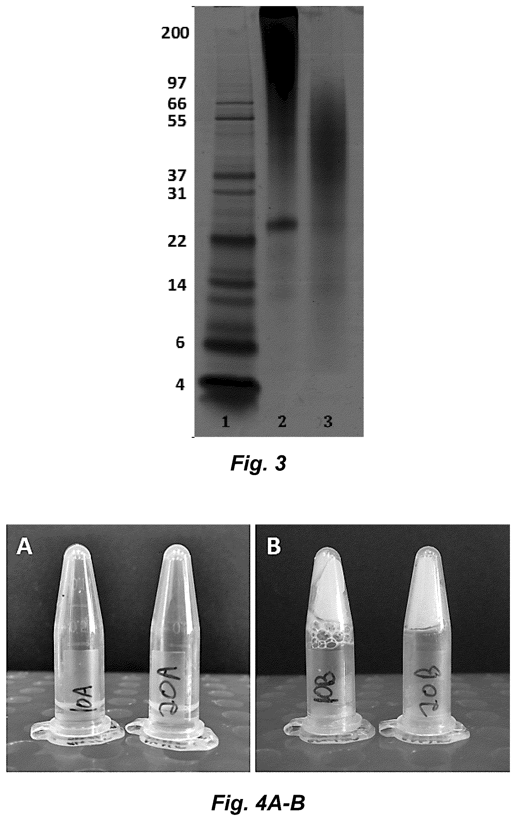 Patent US12350321 Figure 3 – Fibroin-derived protein composition