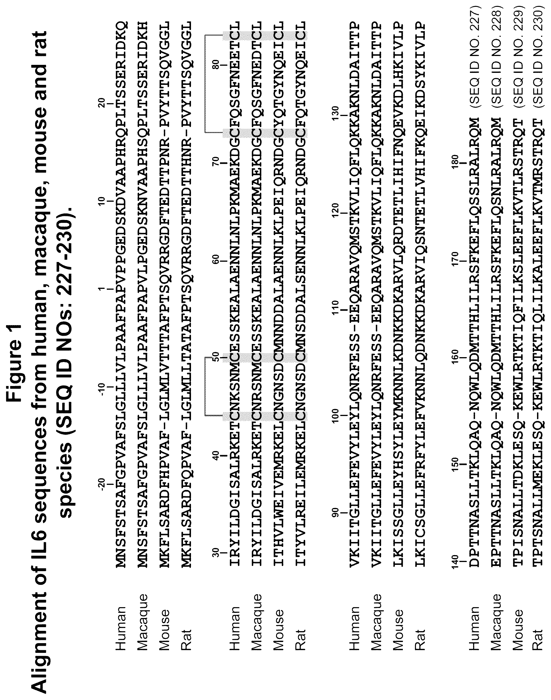 Patent US12350322 Figure 1 – Peptide immunogens targeting interleukin 6 (IL-6) and formulations thereof for immunotherapy of diseases impacted by IL-6 dysregulation