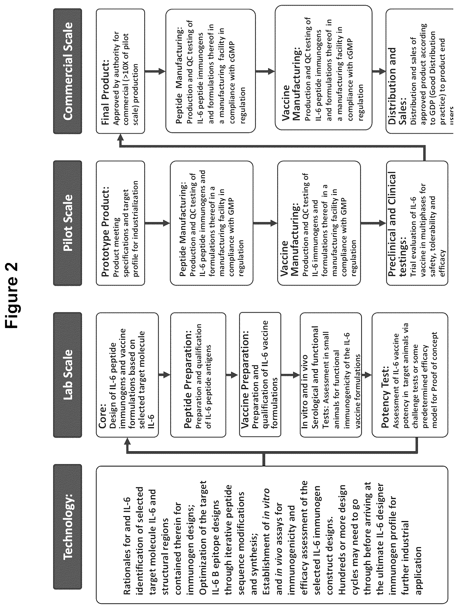Patent US12350322 Figure 2 – Peptide immunogens targeting interleukin 6 (IL-6) and formulations thereof for immunotherapy of diseases impacted by IL-6 dysregulation