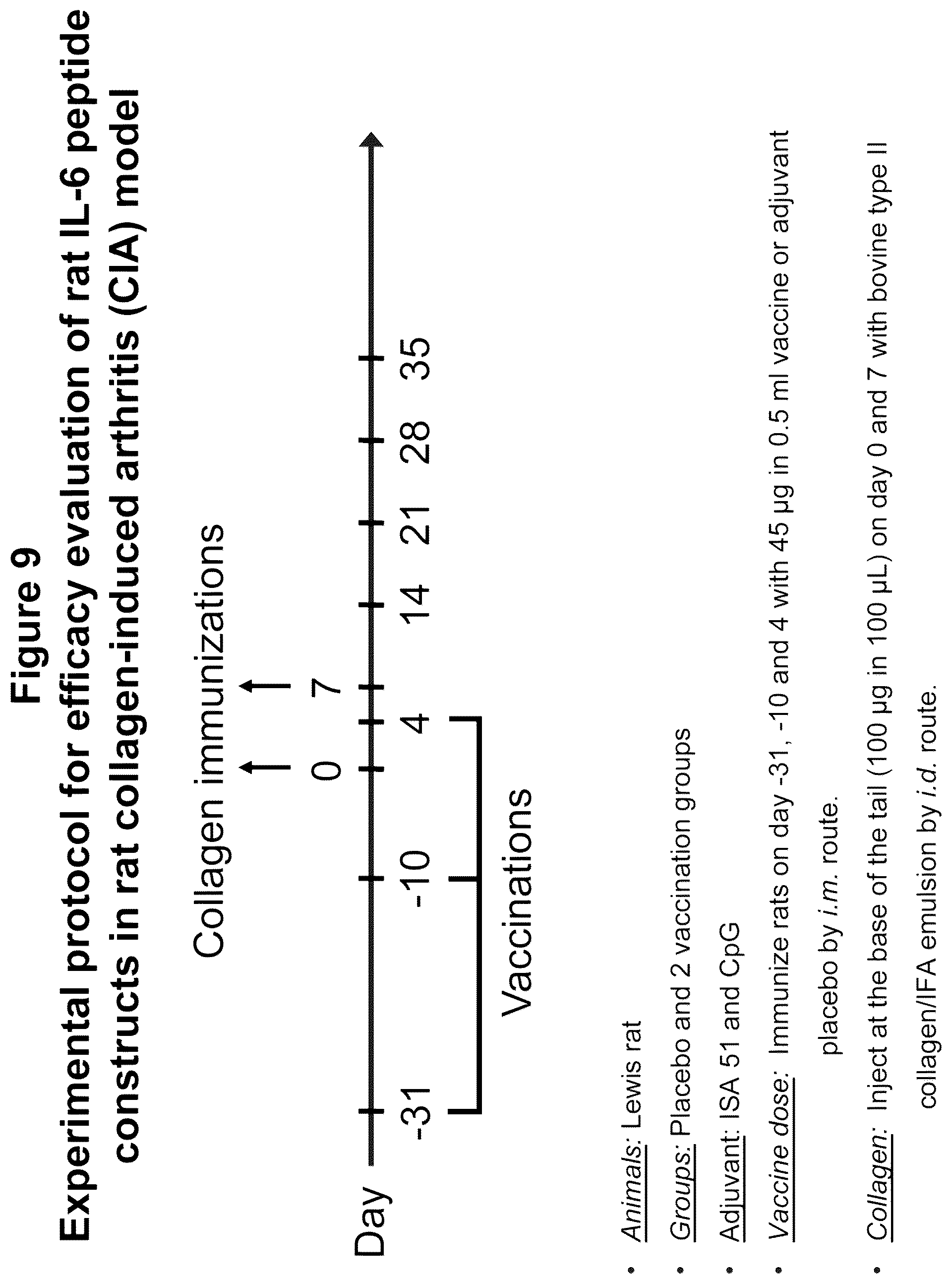 Patent US12350322 Figure 13 – Peptide immunogens targeting interleukin 6 (IL-6) and formulations thereof for immunotherapy of diseases impacted by IL-6 dysregulation