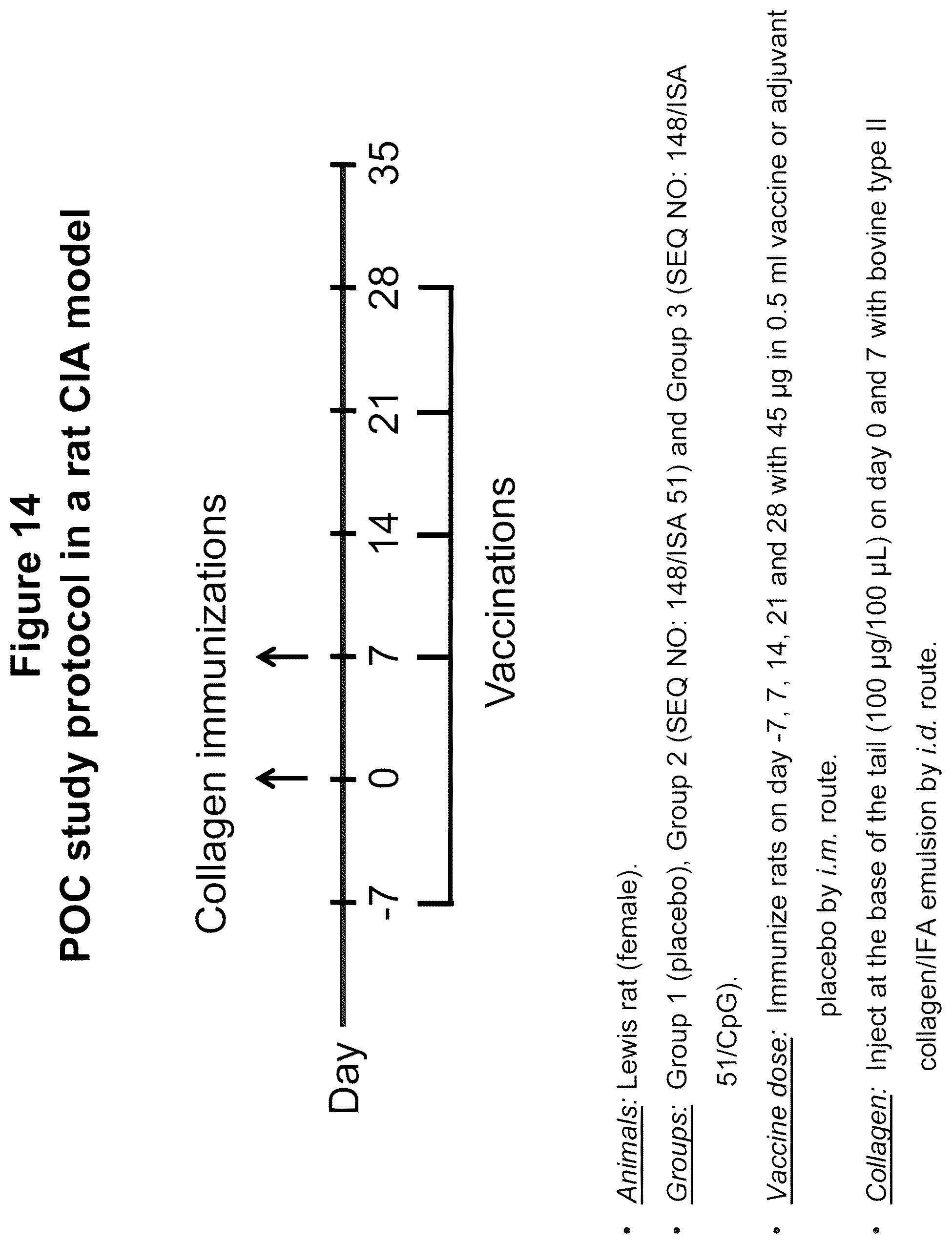 Patent US12350322 Figure 18 – Peptide immunogens targeting interleukin 6 (IL-6) and formulations thereof for immunotherapy of diseases impacted by IL-6 dysregulation