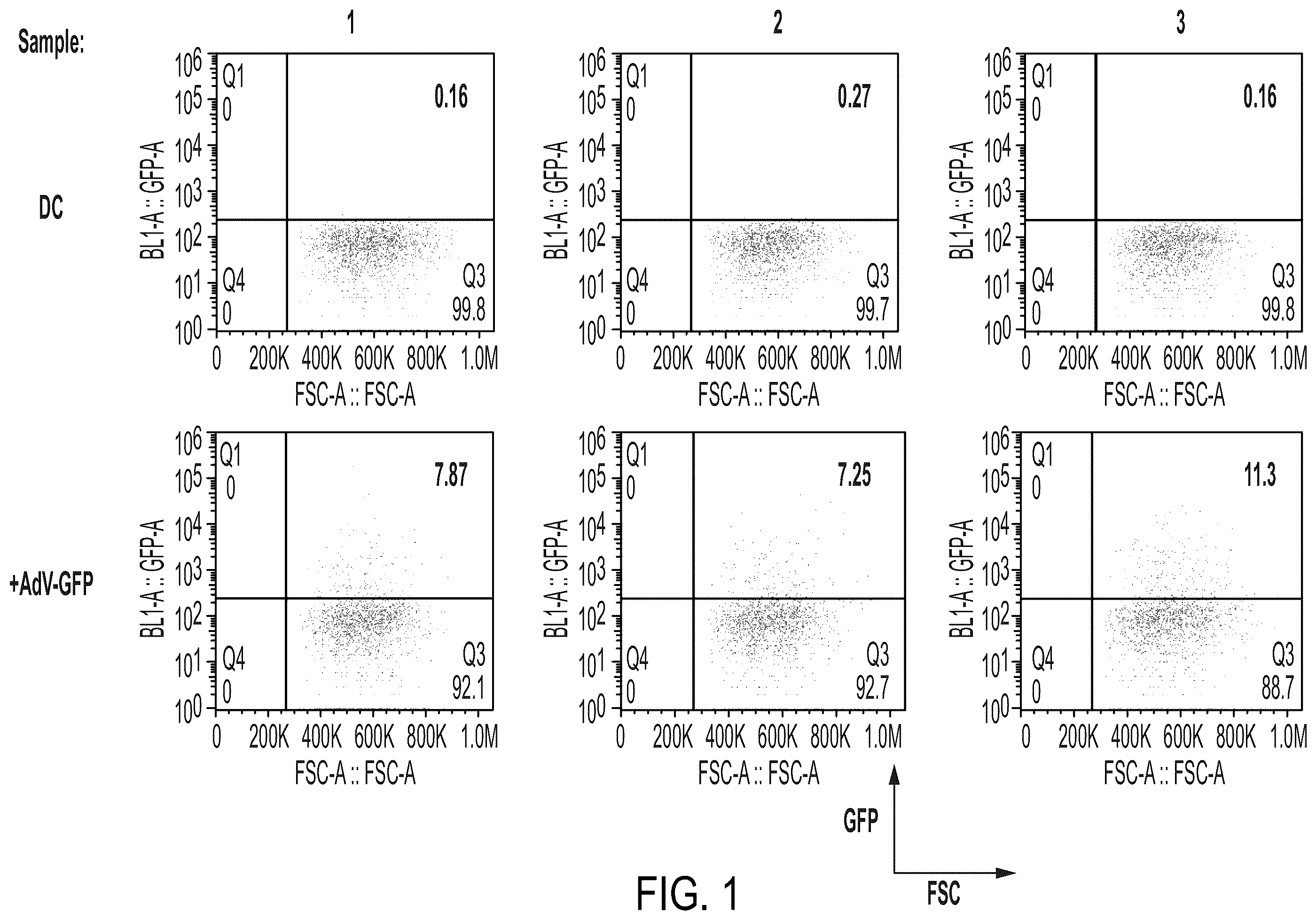 Patent US12350323 Figure 1 – Cellular adjuvants for viral infection