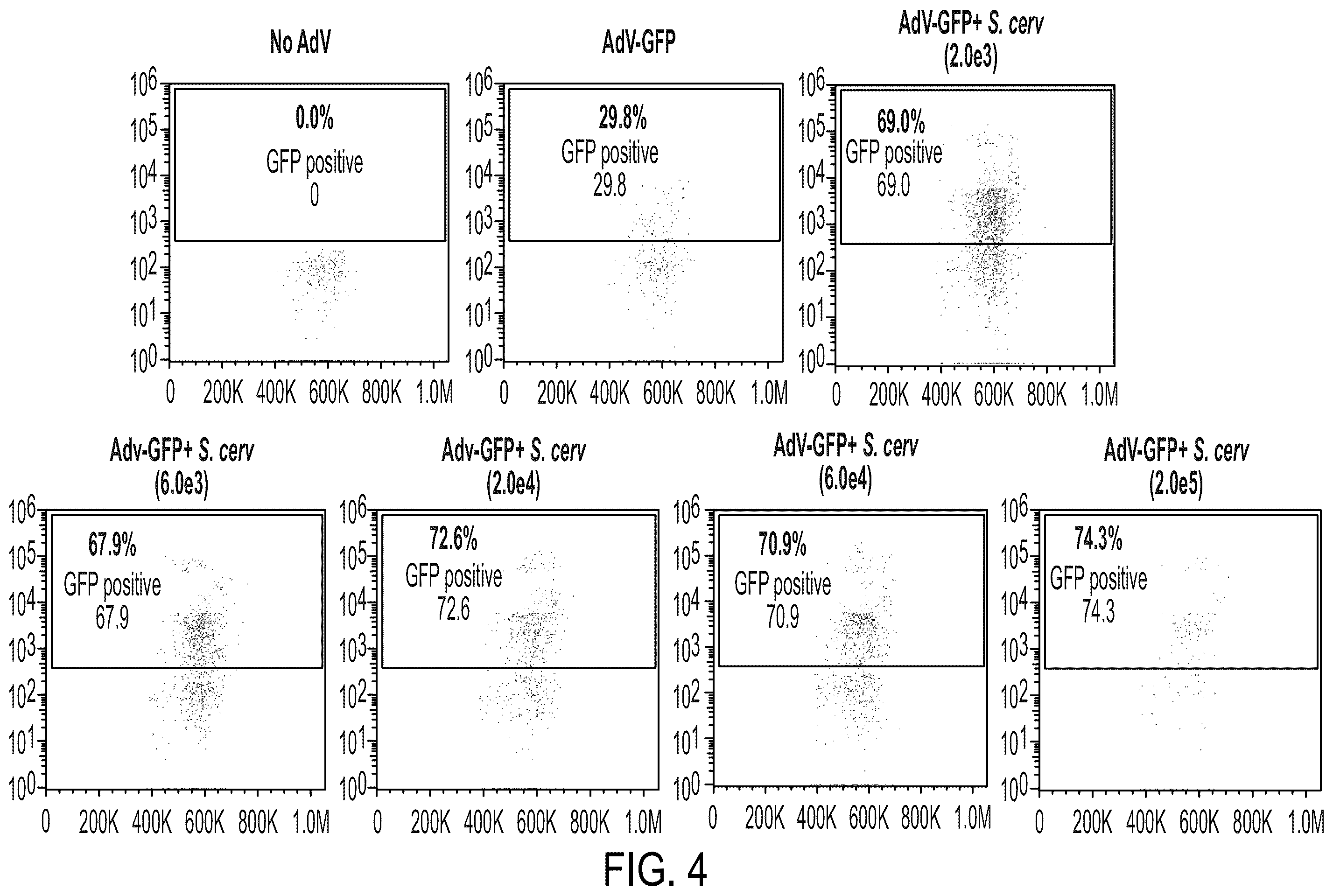Patent US12350323 Figure 6 – Cellular adjuvants for viral infection