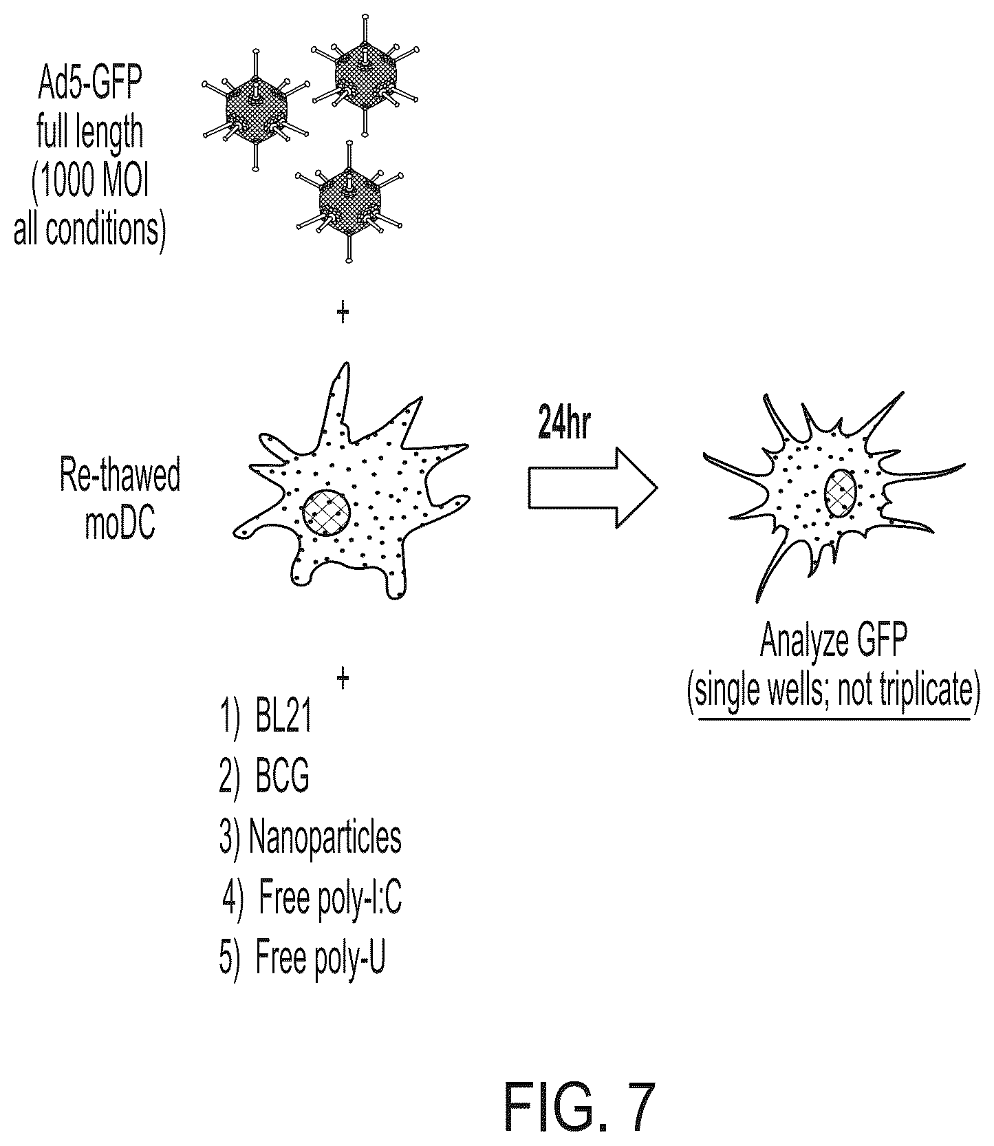 Patent US12350323 Figure 10 – Cellular adjuvants for viral infection