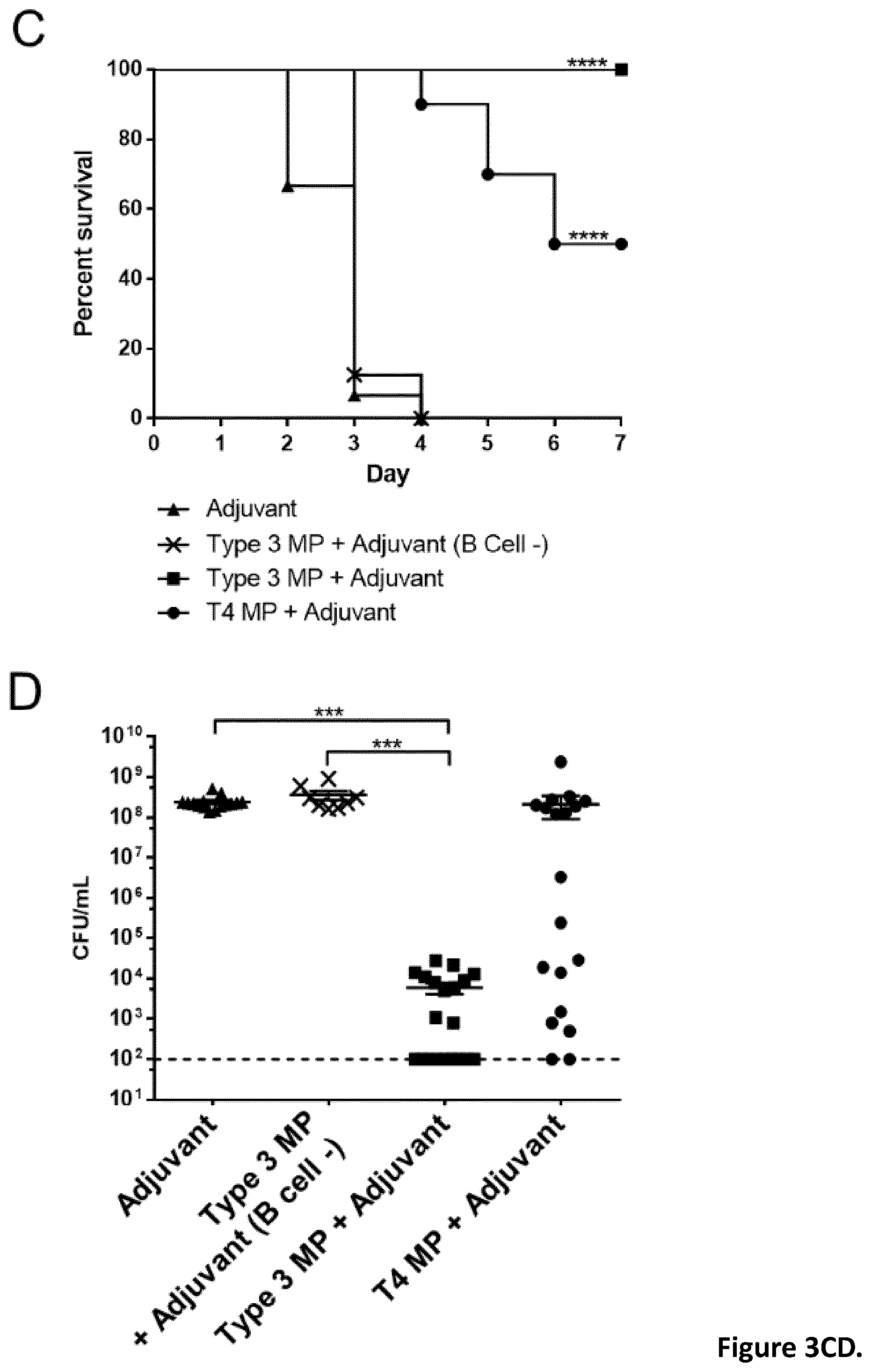 Patent US12350324 Figure 4 – Streptococcal vaccines