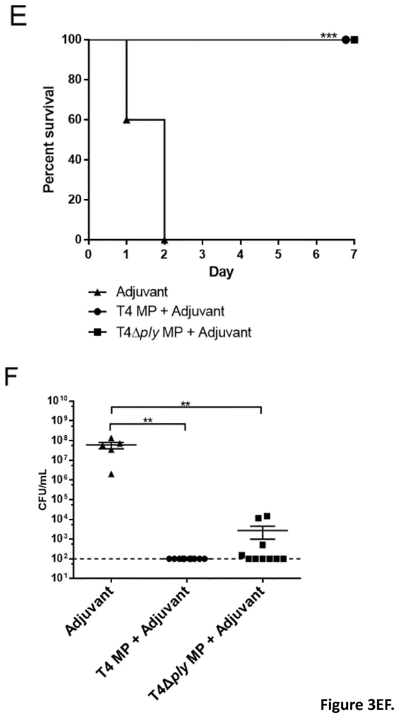 Patent US12350324 Figure 5 – Streptococcal vaccines