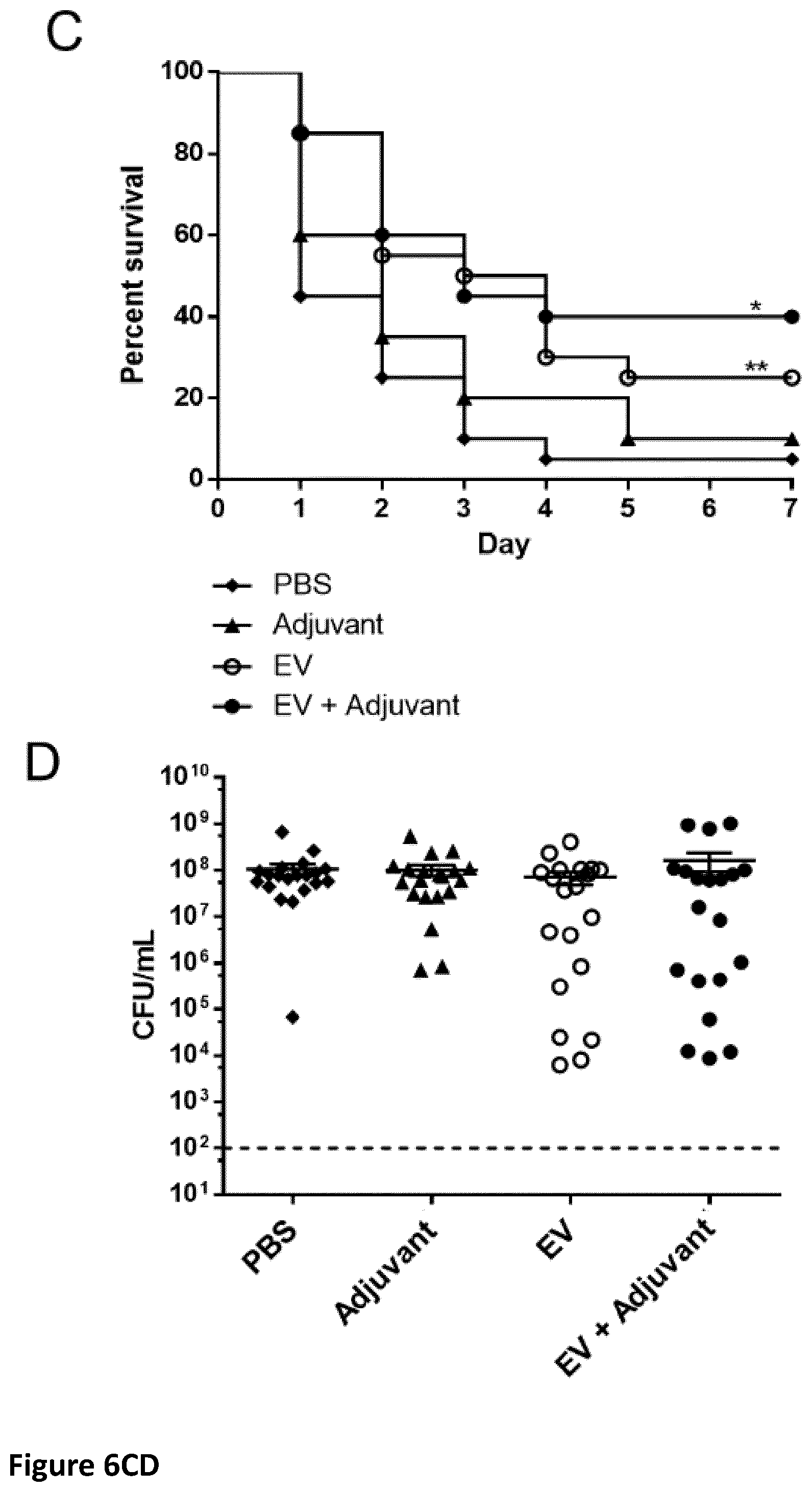 Patent US12350324 Figure 13 – Streptococcal vaccines