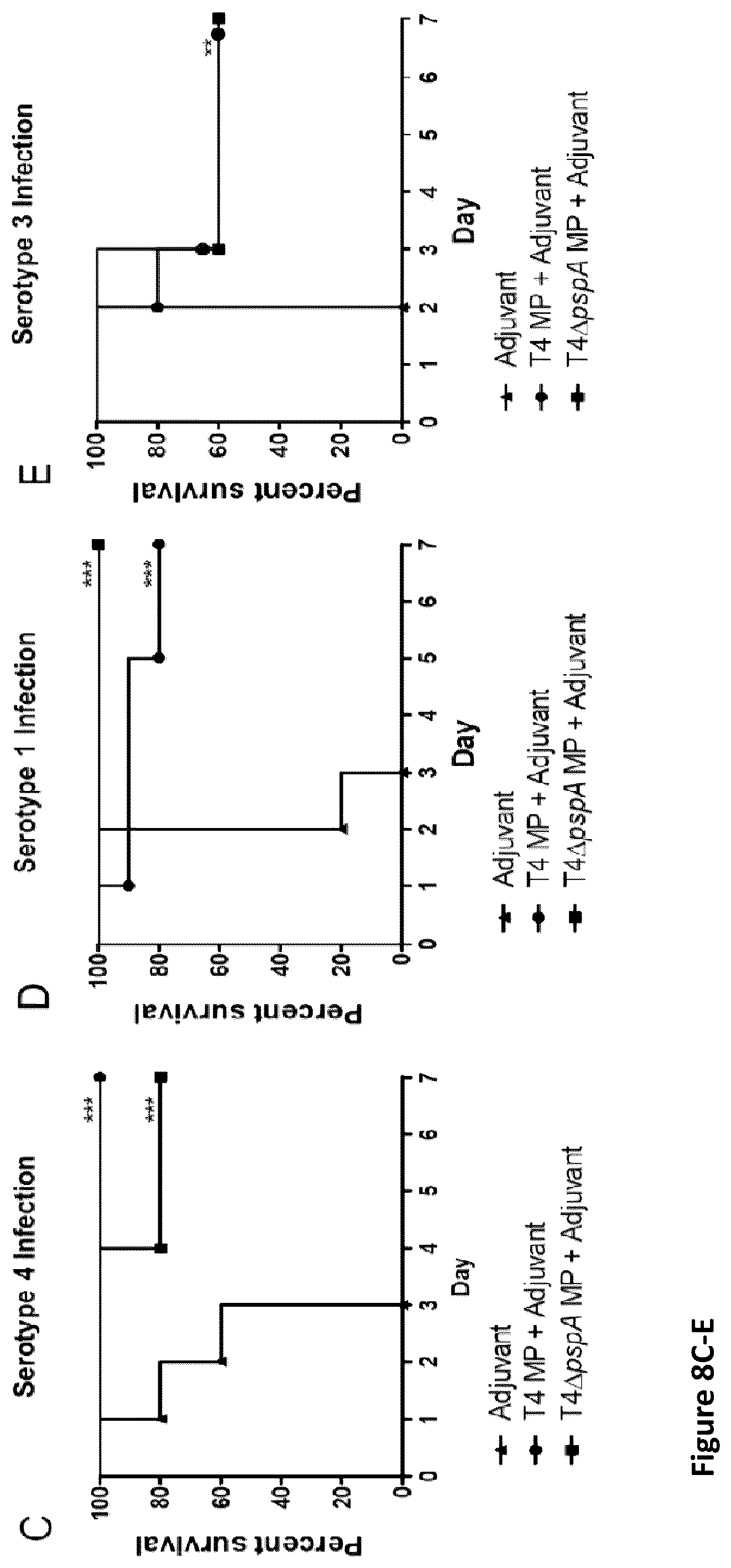 Patent US12350324 Figure 18 – Streptococcal vaccines