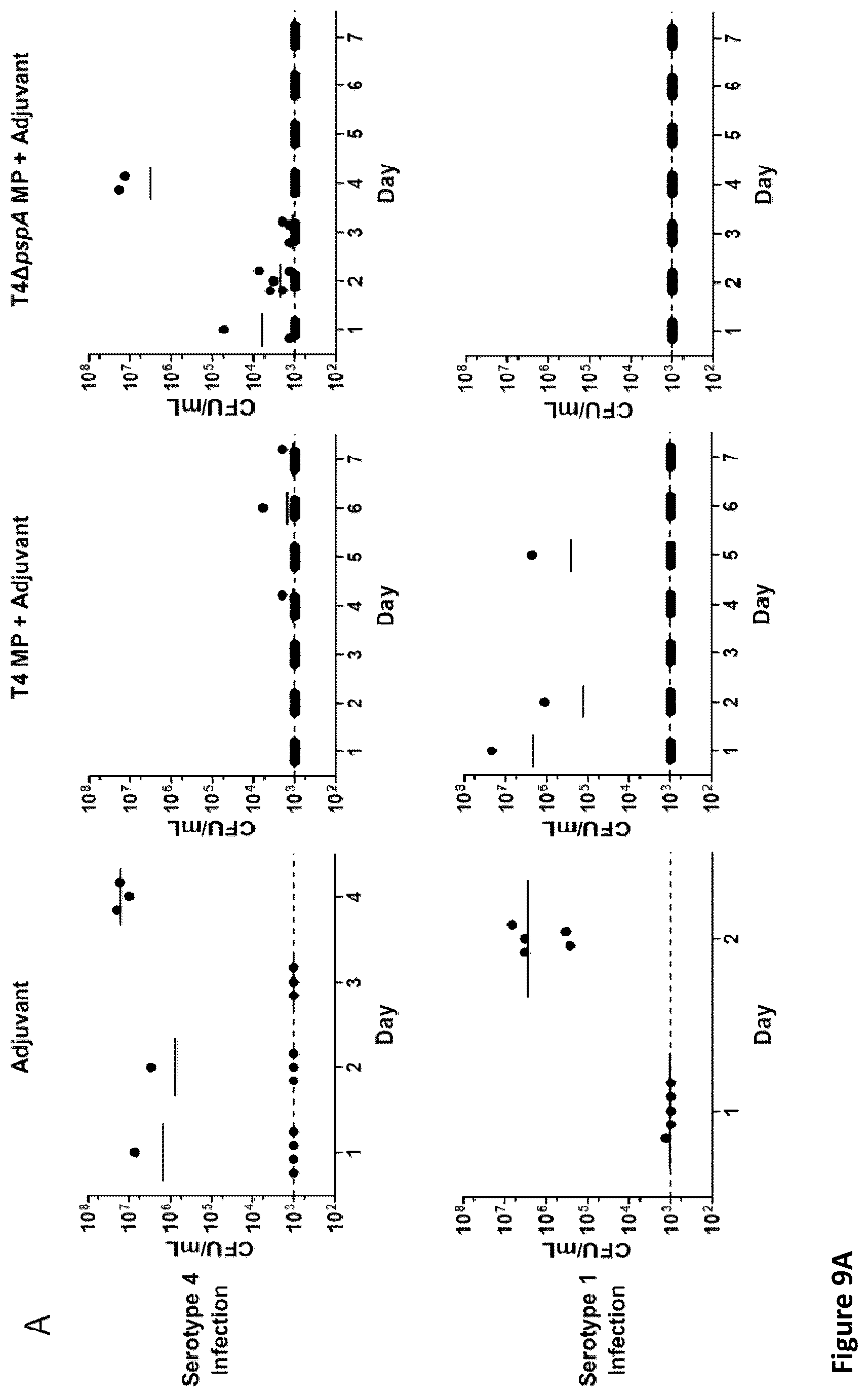 Patent US12350324 Figure 20 – Streptococcal vaccines