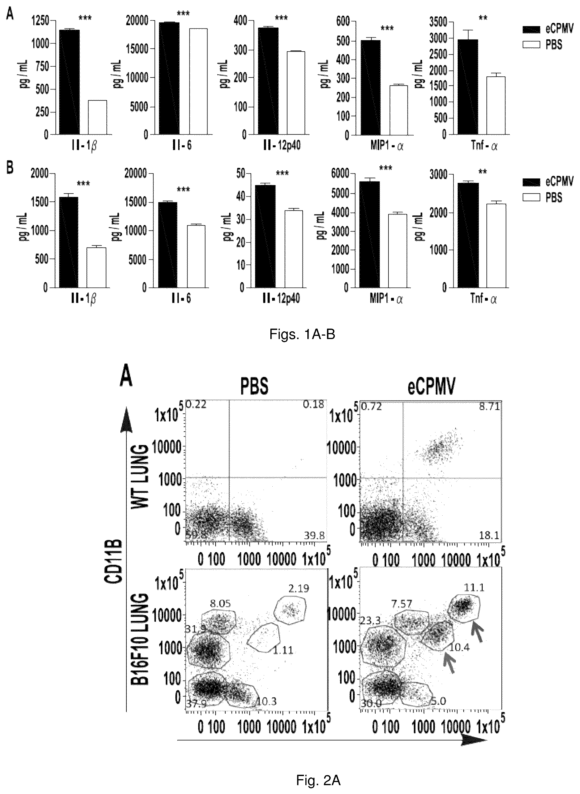 Patent US12350326 Figure 1 – Cancer immunotherapy using virus particles