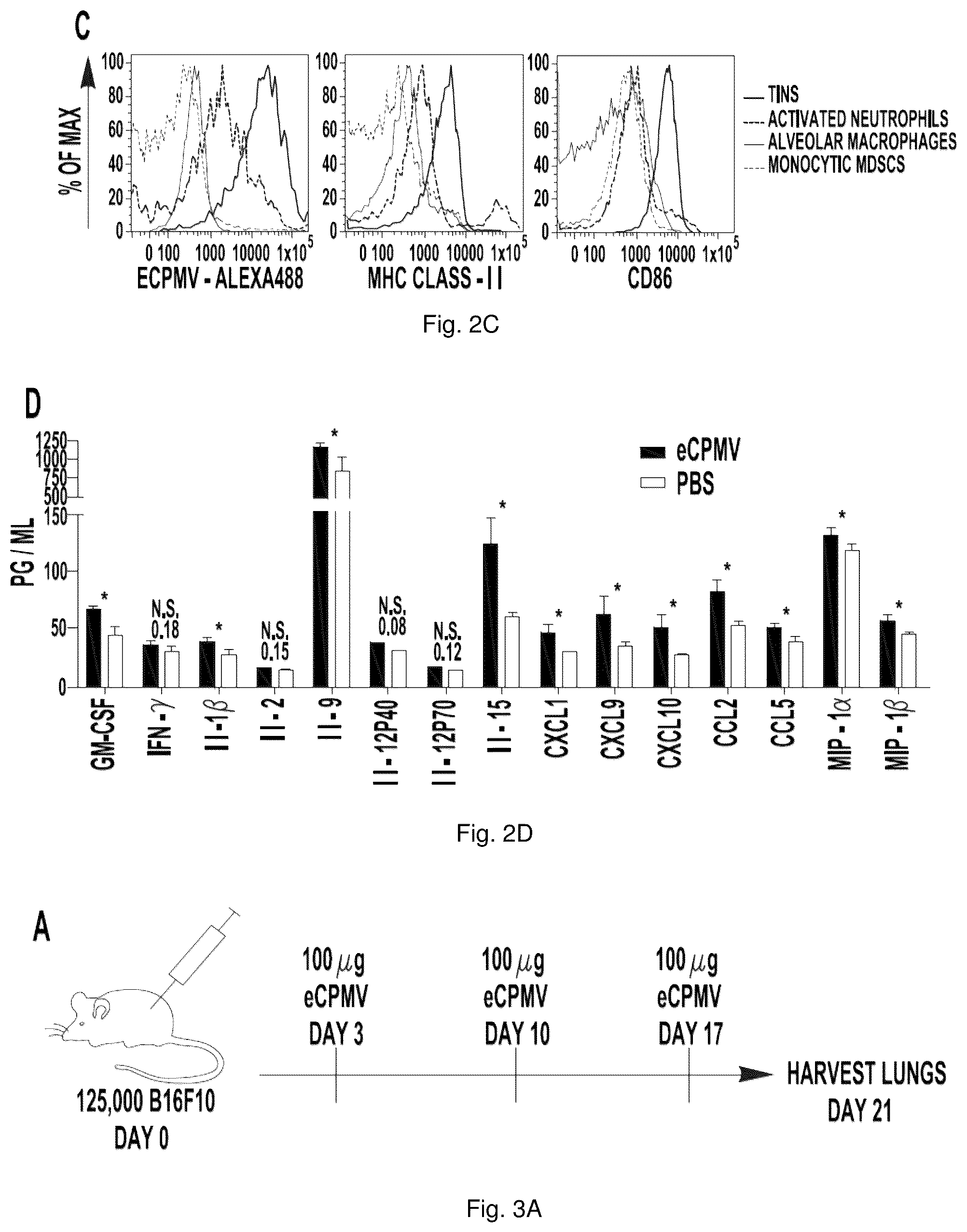 Patent US12350326 Figure 3 – Cancer immunotherapy using virus particles