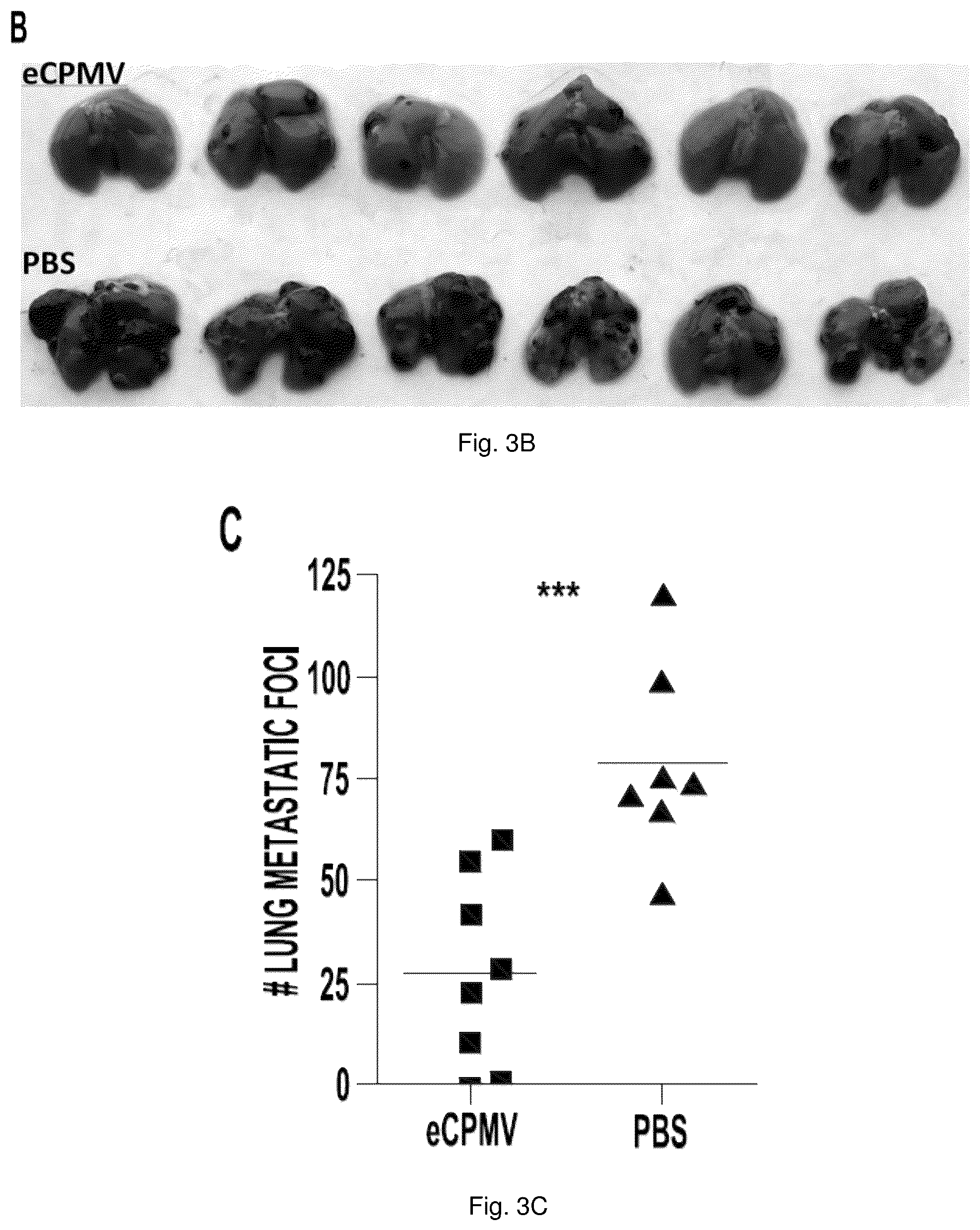 Patent US12350326 Figure 4 – Cancer immunotherapy using virus particles