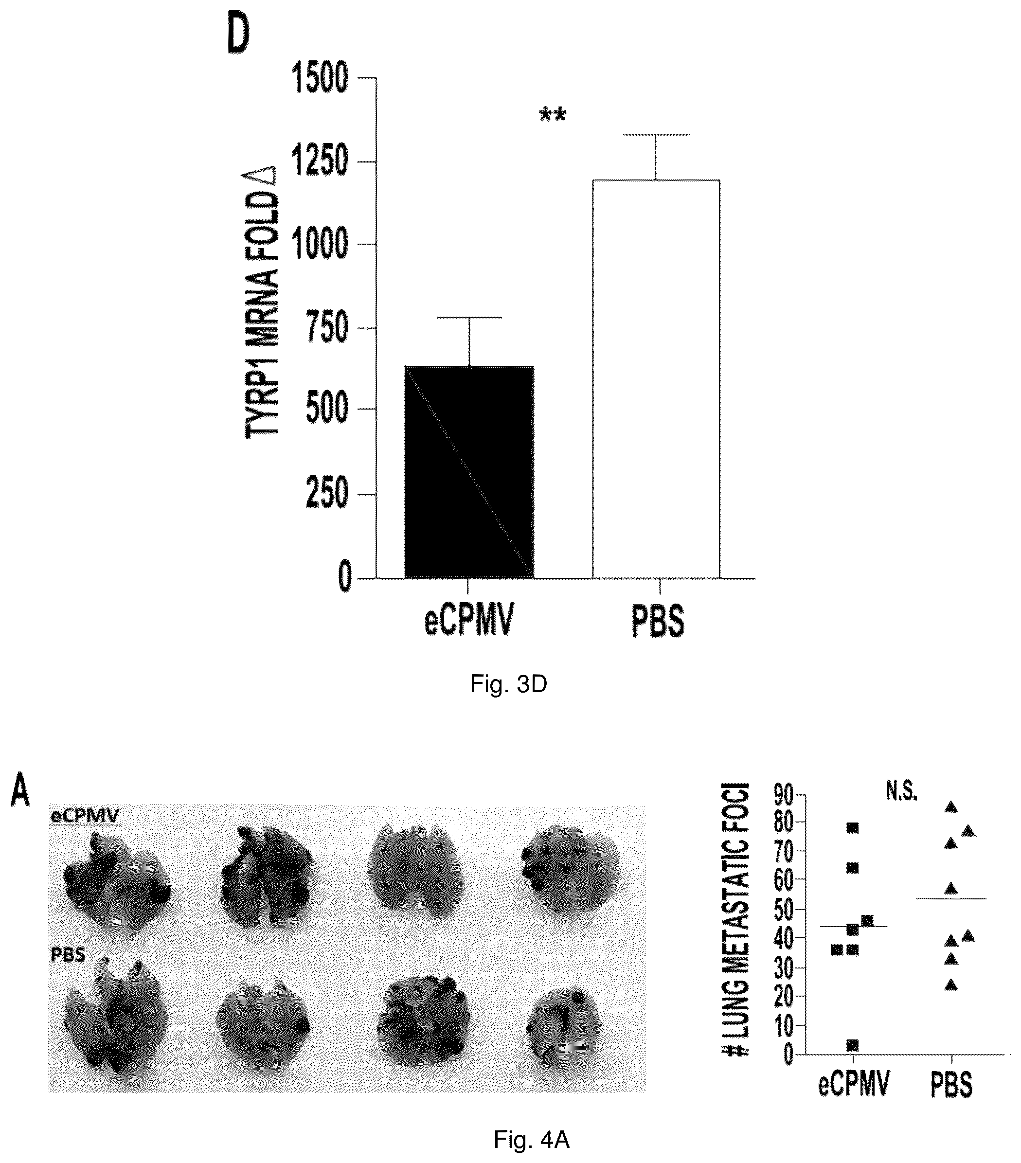 Patent US12350326 Figure 5 – Cancer immunotherapy using virus particles