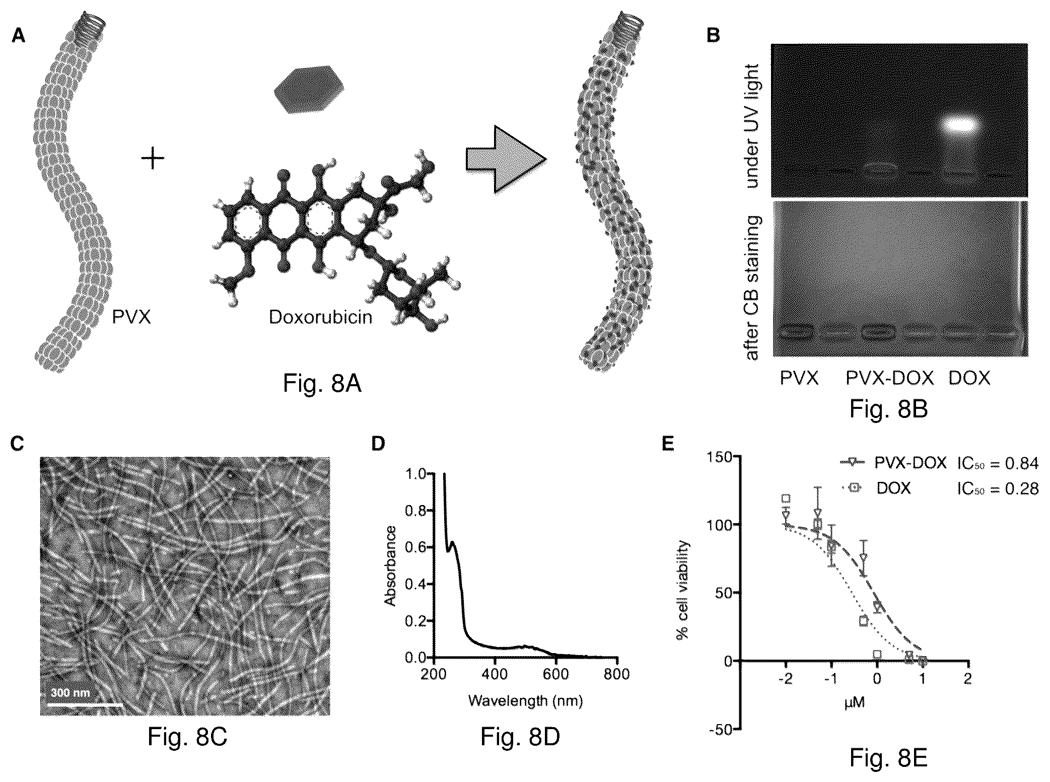 Patent US12350326 Figure 11 – Cancer immunotherapy using virus particles