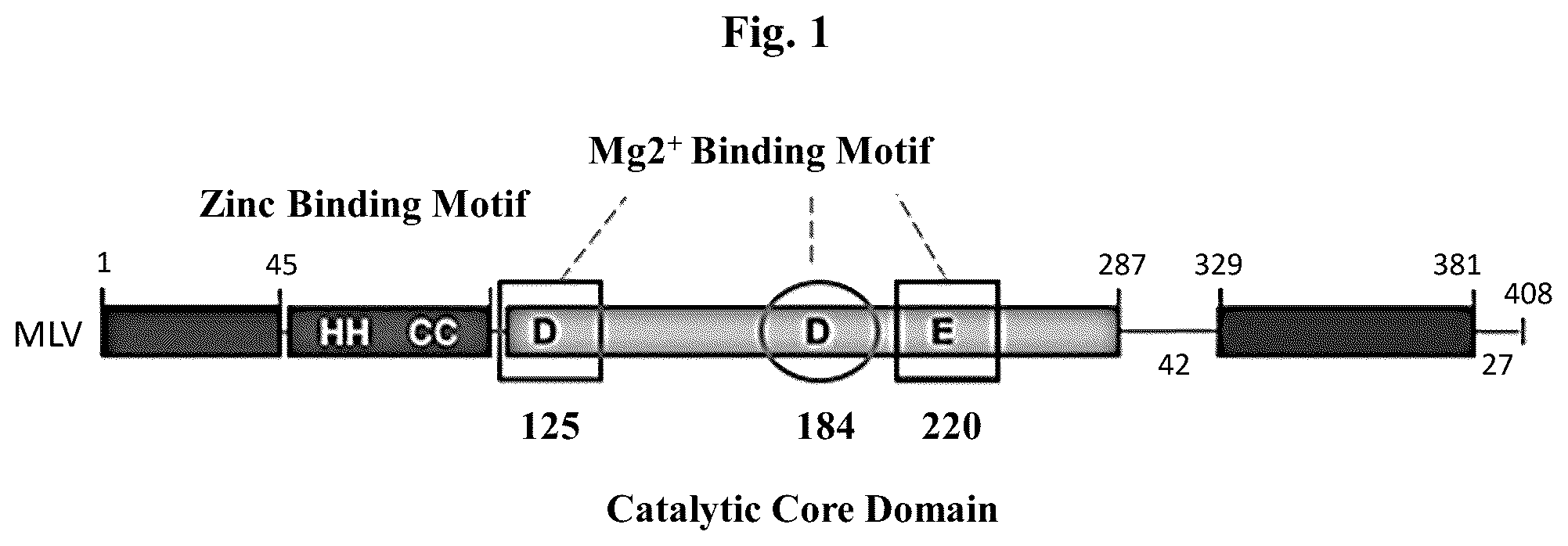 Patent US12350327 Figure 1 – Compositions and methods for therapeutic or vaccine delivery