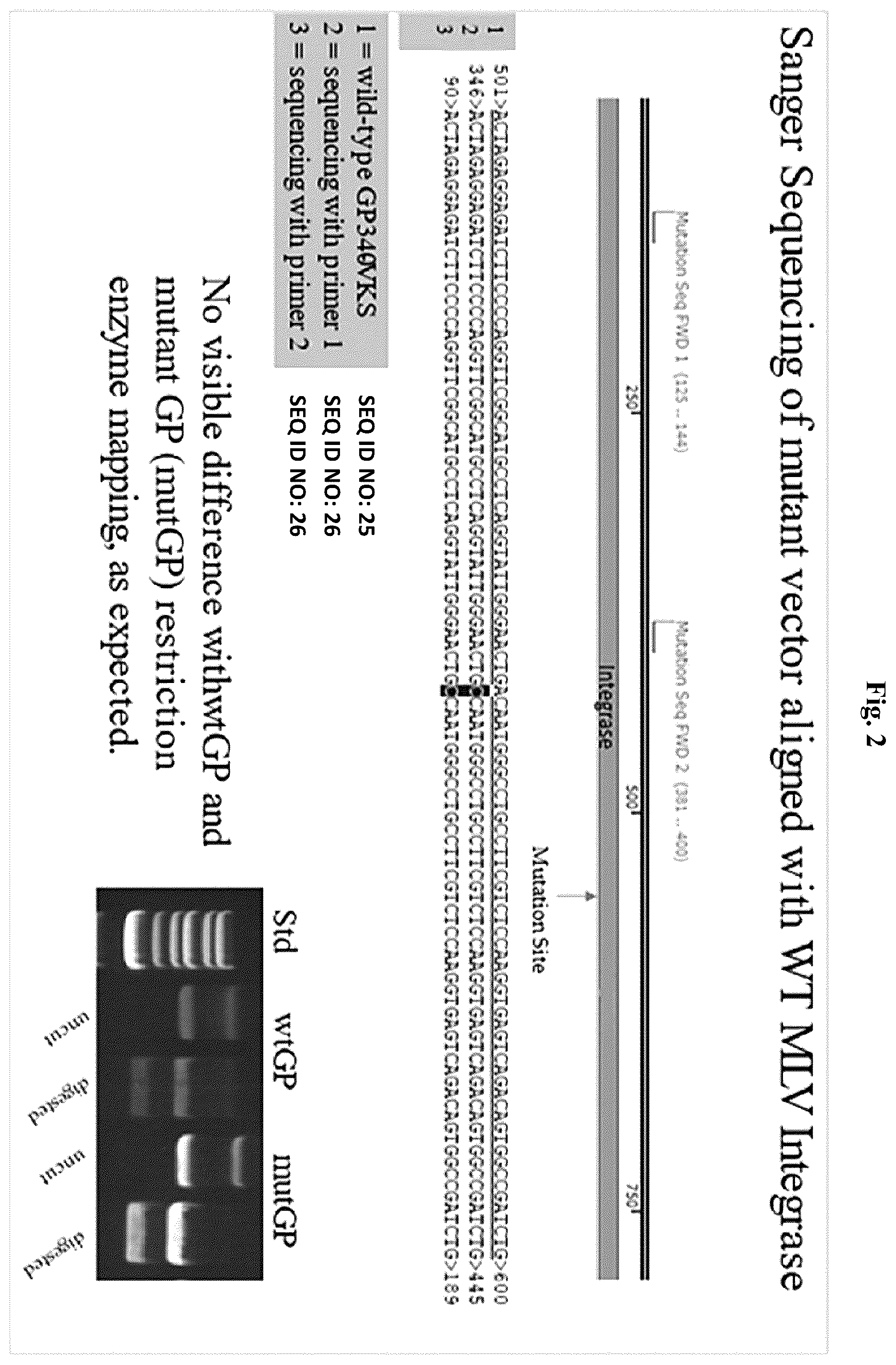 Patent US12350327 Figure 2 – Compositions and methods for therapeutic or vaccine delivery