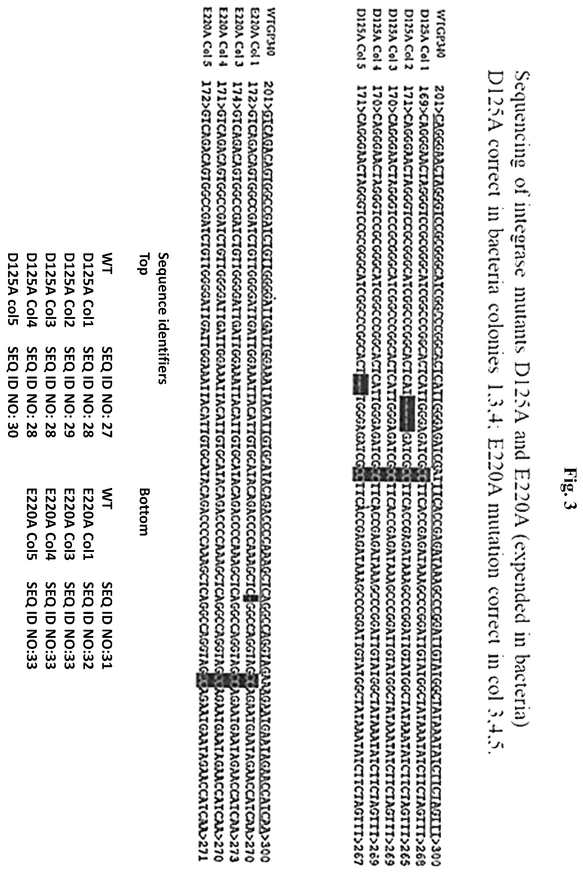 Patent US12350327 Figure 3 – Compositions and methods for therapeutic or vaccine delivery