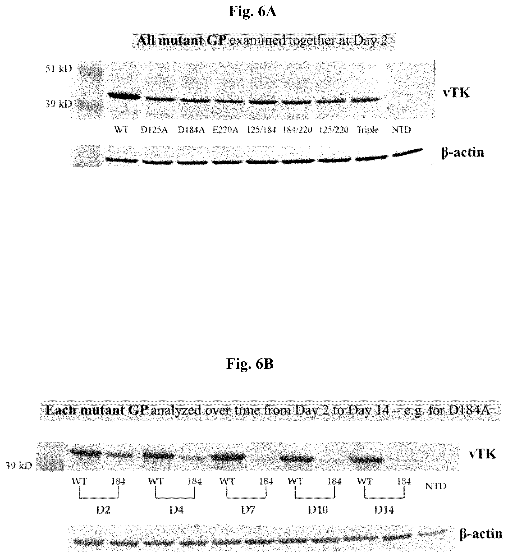 Patent US12350327 Figure 6 – Compositions and methods for therapeutic or vaccine delivery