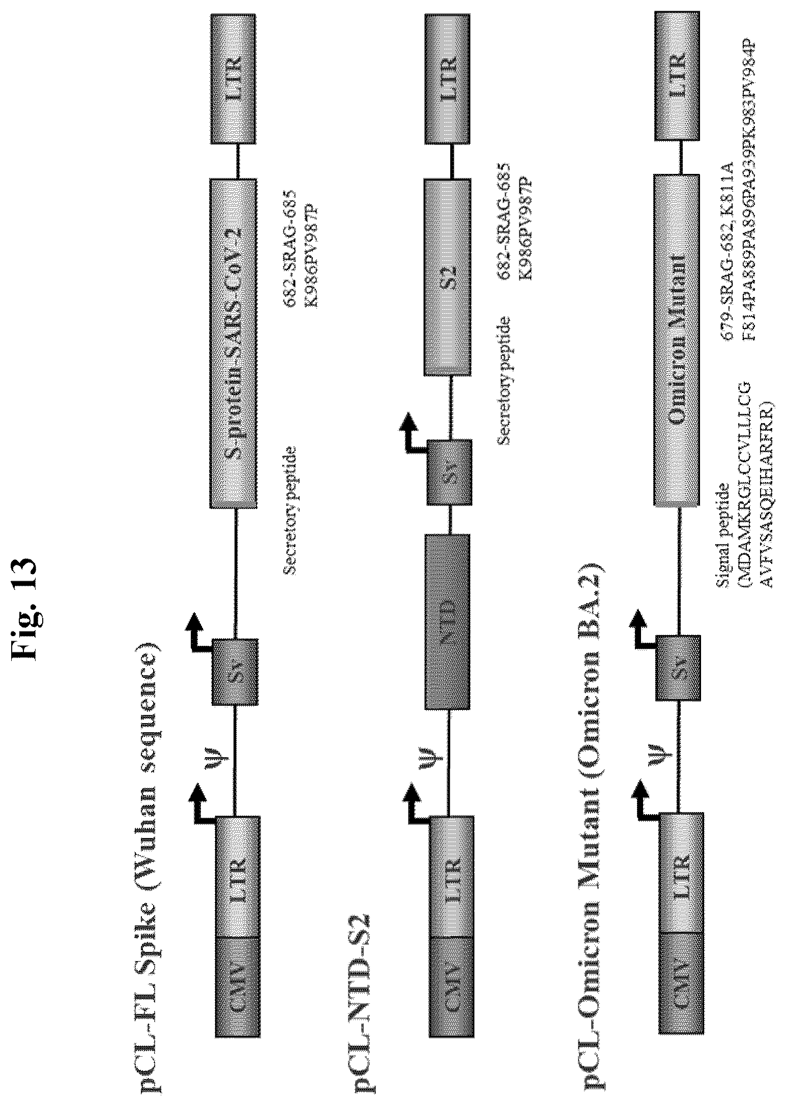 Patent US12350327 Figure 13 – Compositions and methods for therapeutic or vaccine delivery