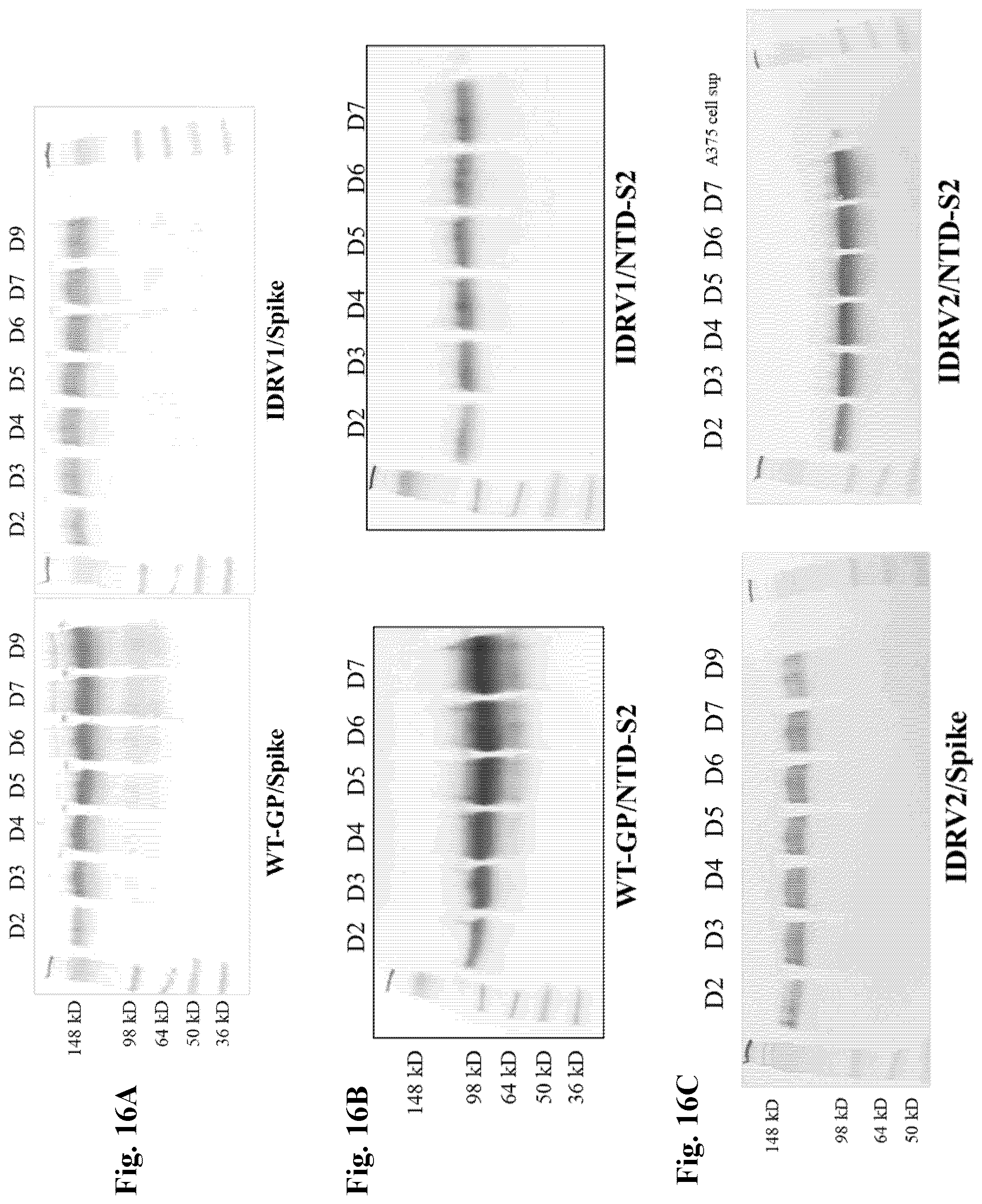 Patent US12350327 Figure 17 – Compositions and methods for therapeutic or vaccine delivery