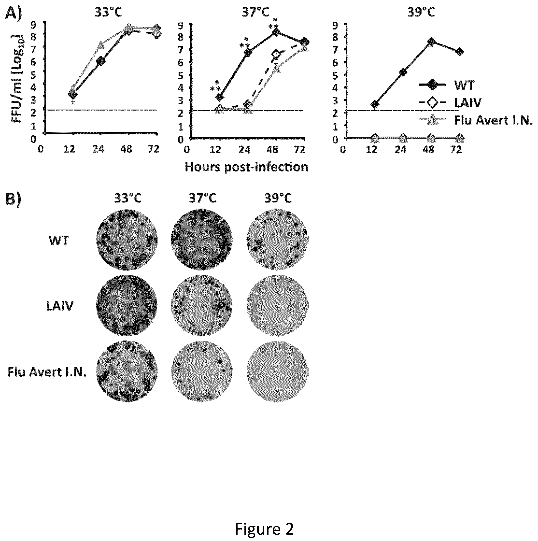Patent US12350328 Figure 2 – Multivalent live-attenuated influenza vaccine for prevention and control of equine influenza virus (EIV) in horses