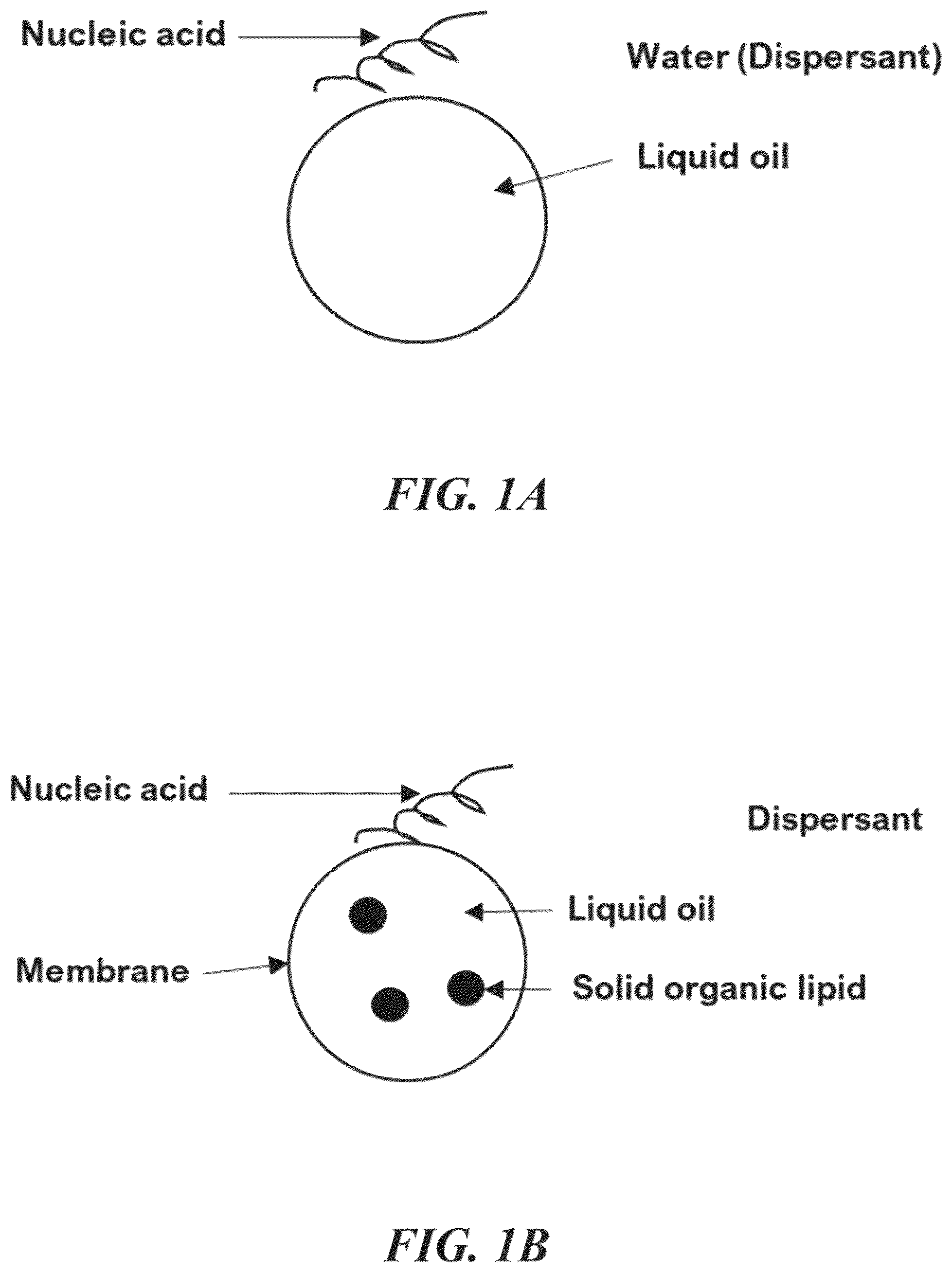 Patent US12350329 Figure 1 – RNA vaccines against infectious diseases