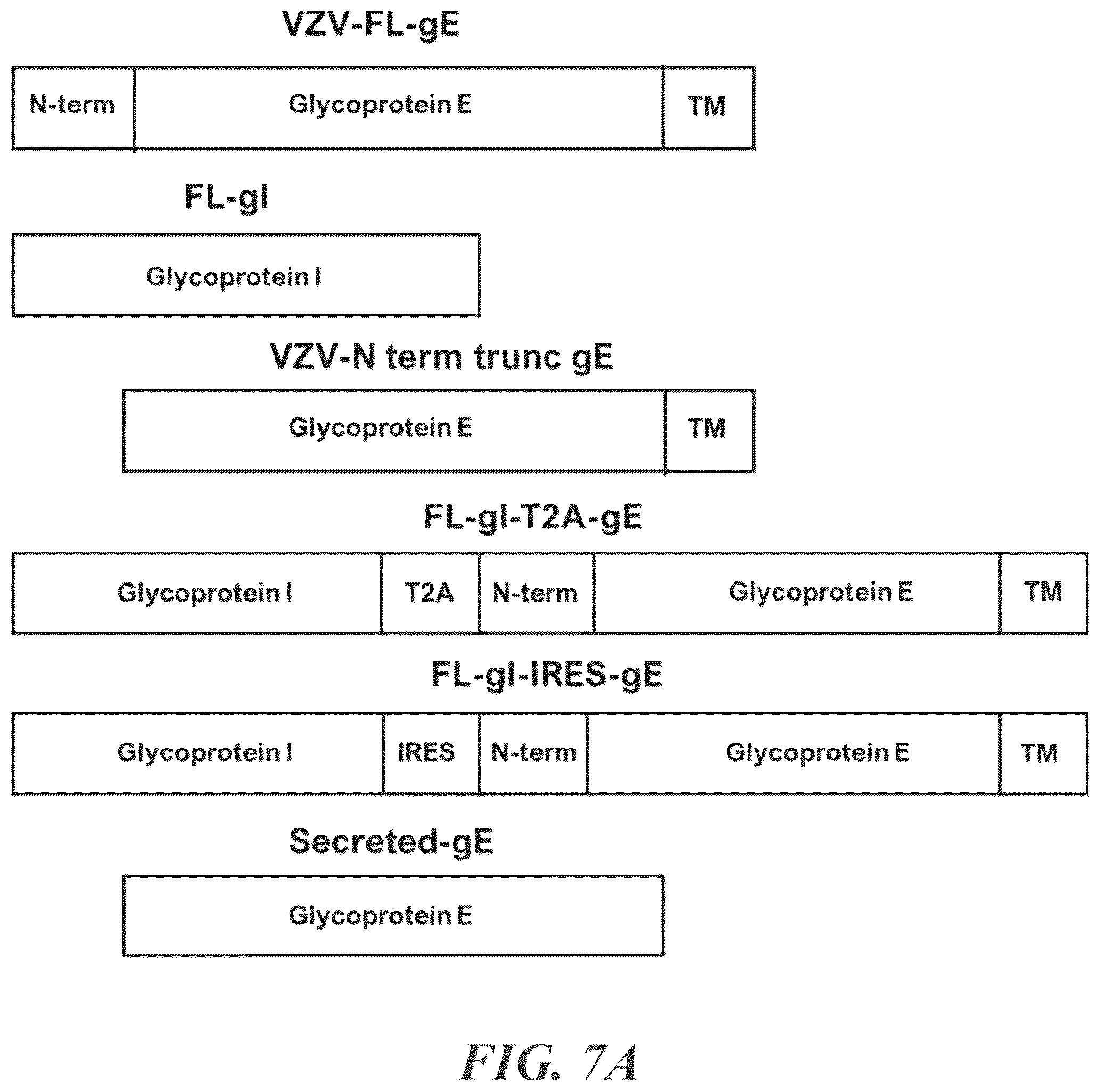Patent US12350329 Figure 10 – RNA vaccines against infectious diseases