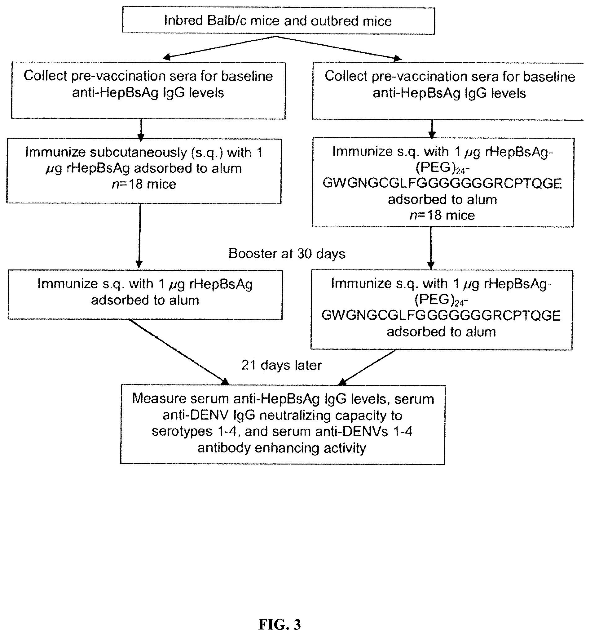 Patent US12350331 Figure 3 – Bivalent dengue/hepatitus B vaccines