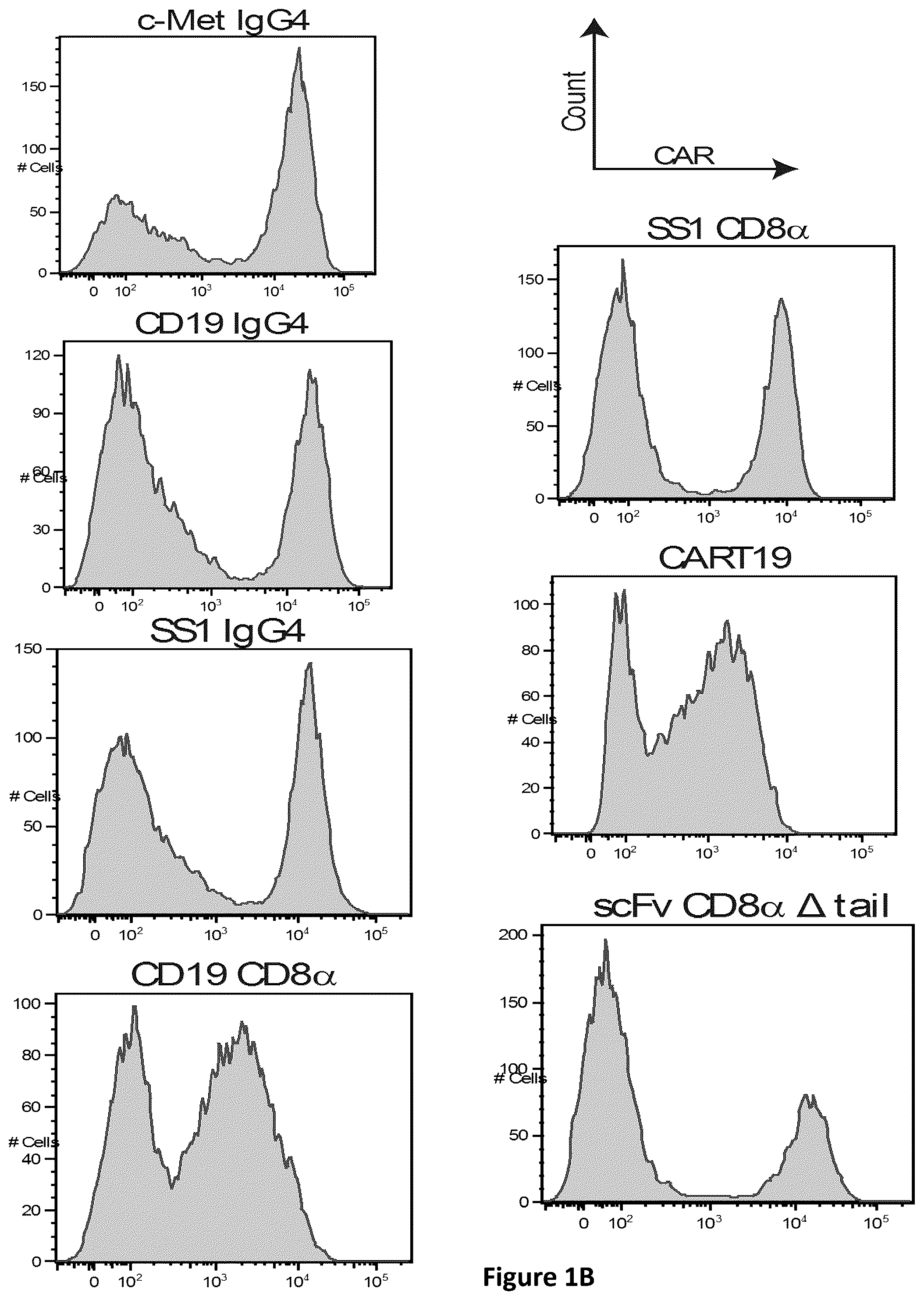 Patent US12350334 Figure 2 – Compositions and methods for generating a persisting population of T cells useful for the treatment of cancer