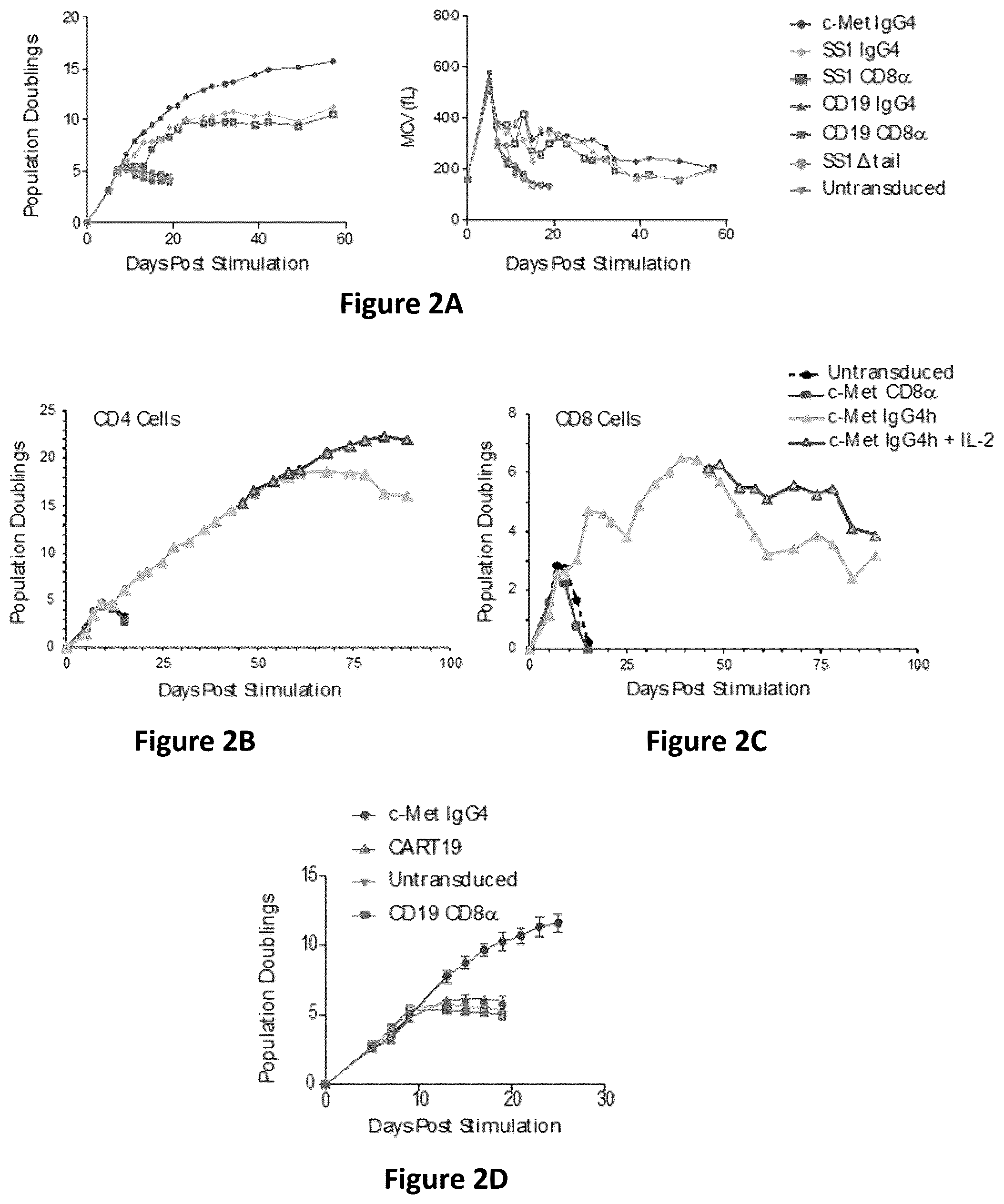 Patent US12350334 Figure 3 – Compositions and methods for generating a persisting population of T cells useful for the treatment of cancer