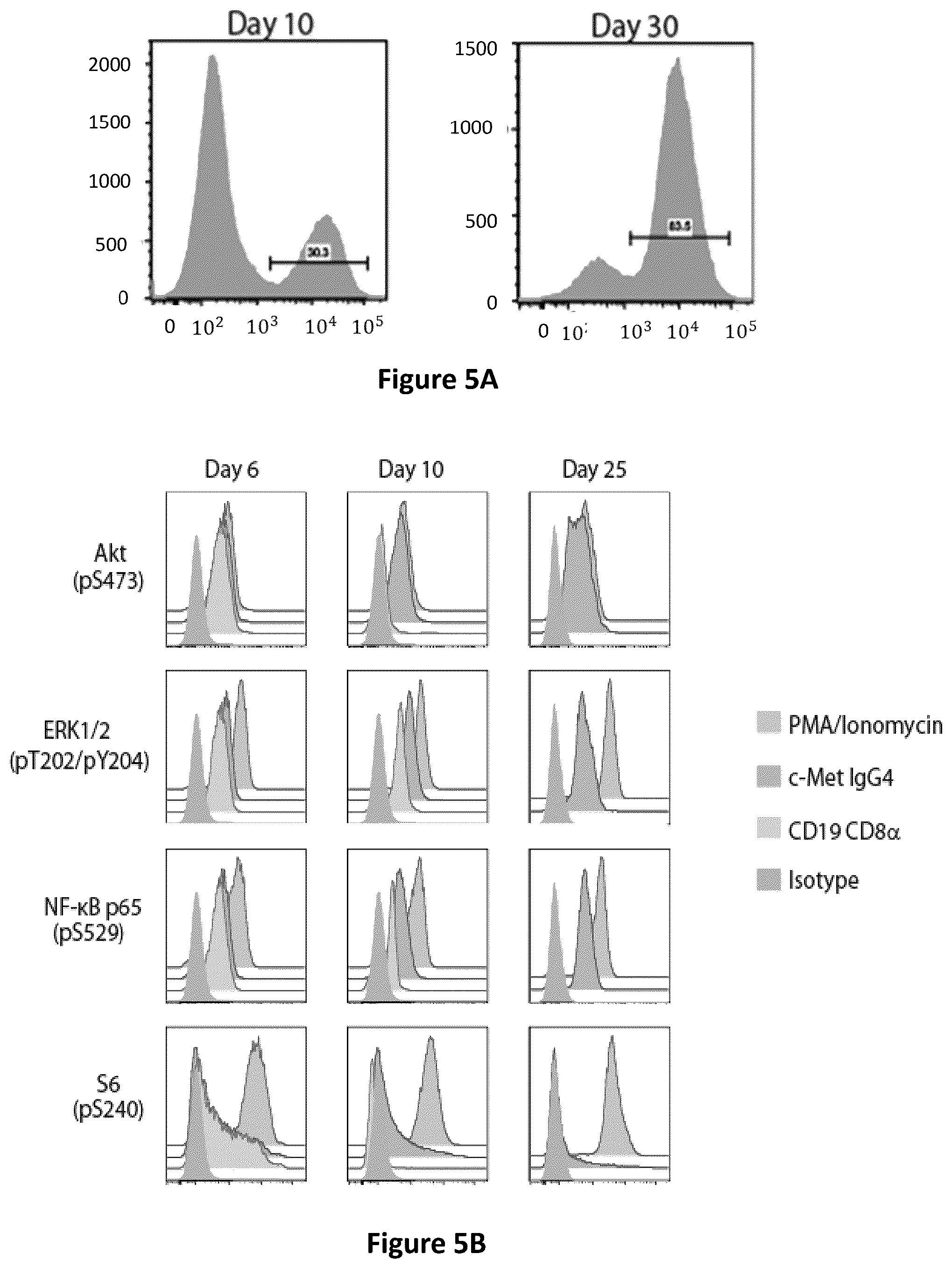 Patent US12350334 Figure 7 – Compositions and methods for generating a persisting population of T cells useful for the treatment of cancer