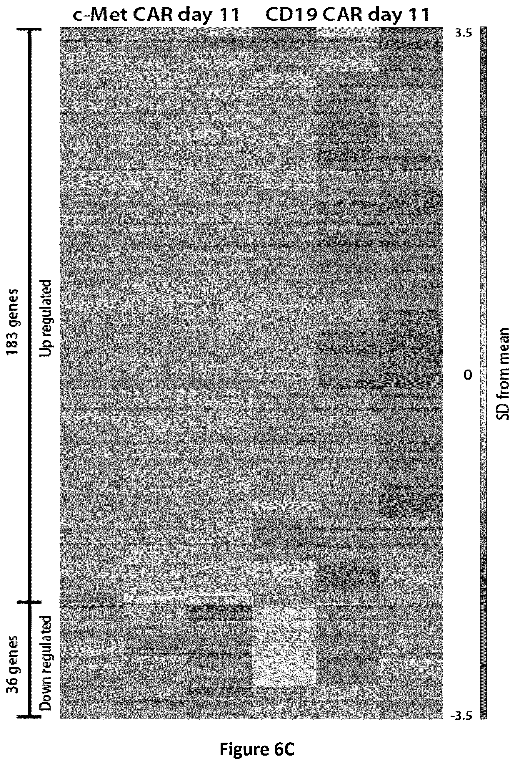 Patent US12350334 Figure 10 – Compositions and methods for generating a persisting population of T cells useful for the treatment of cancer