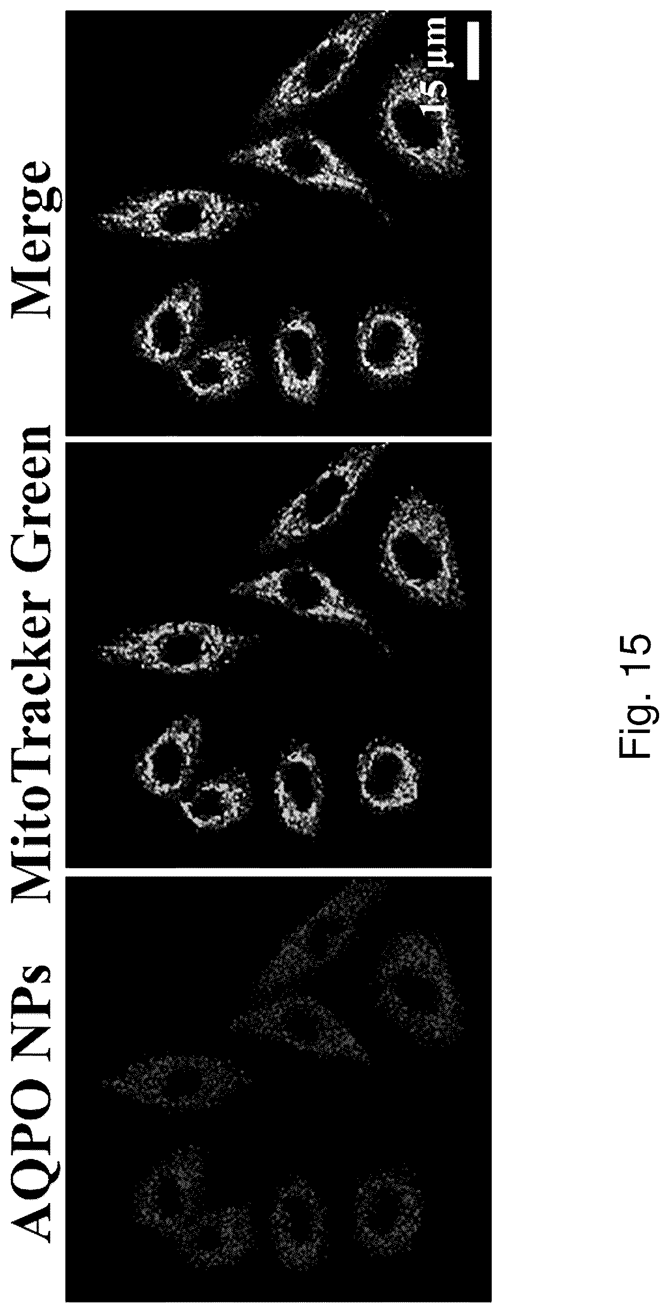 Patent US12350336 Figure 20 – Photo-activatable compound, its preparation and therapeutic use