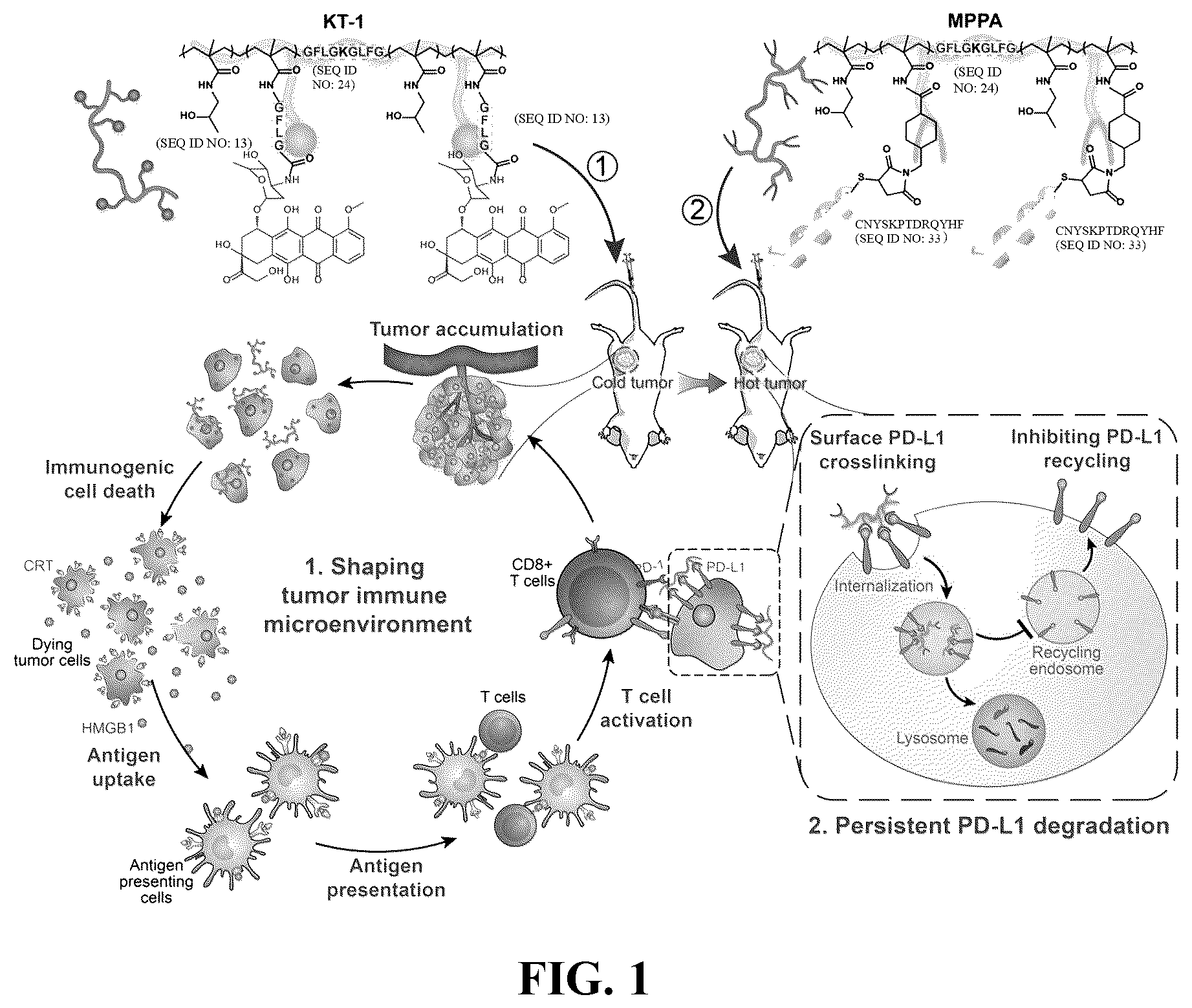 Patent US12350337 Figure 1 – Polymeric drug delivery conjugates and methods of making and using thereof