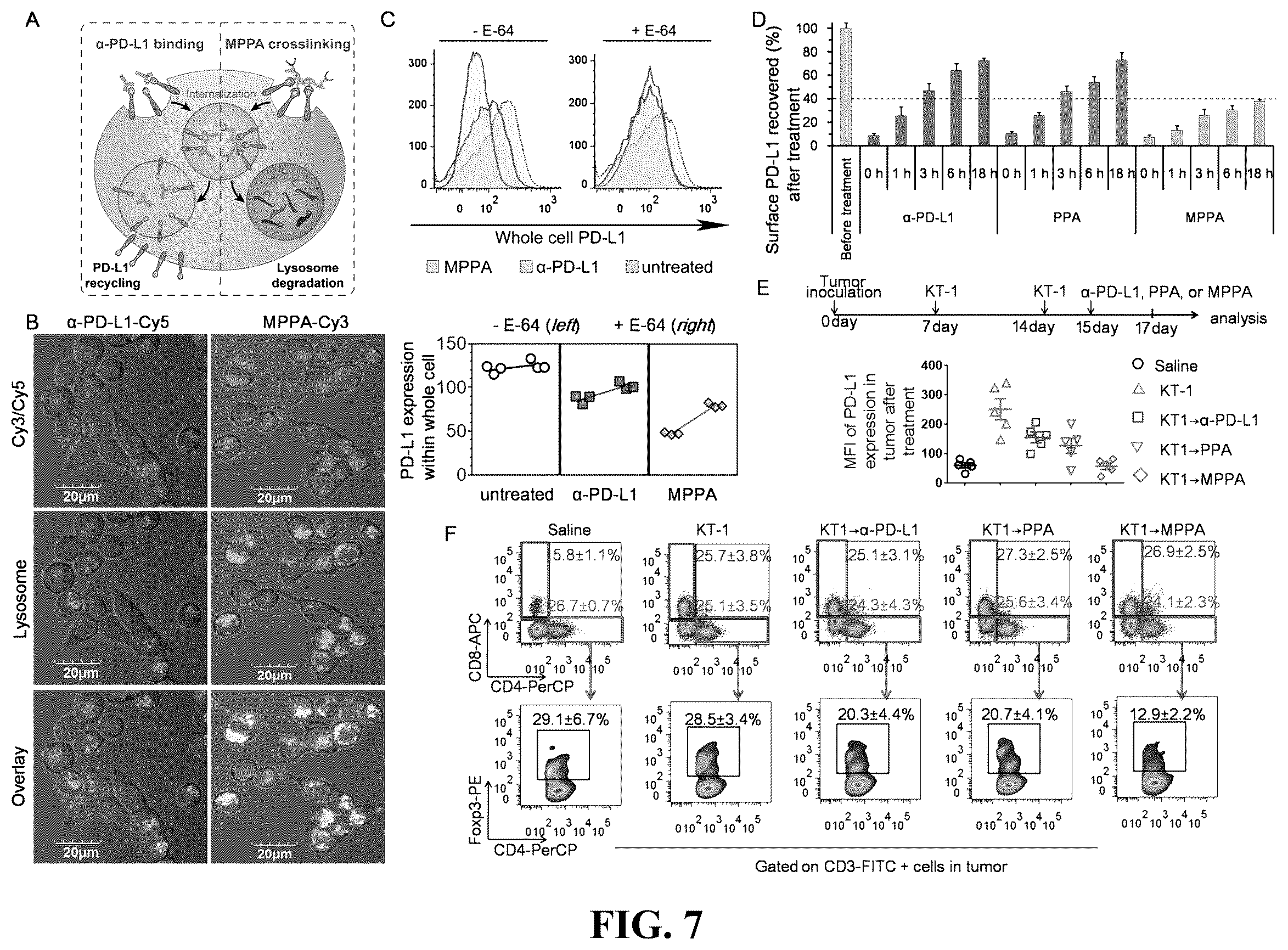 Patent US12350337 Figure 7 – Polymeric drug delivery conjugates and methods of making and using thereof
