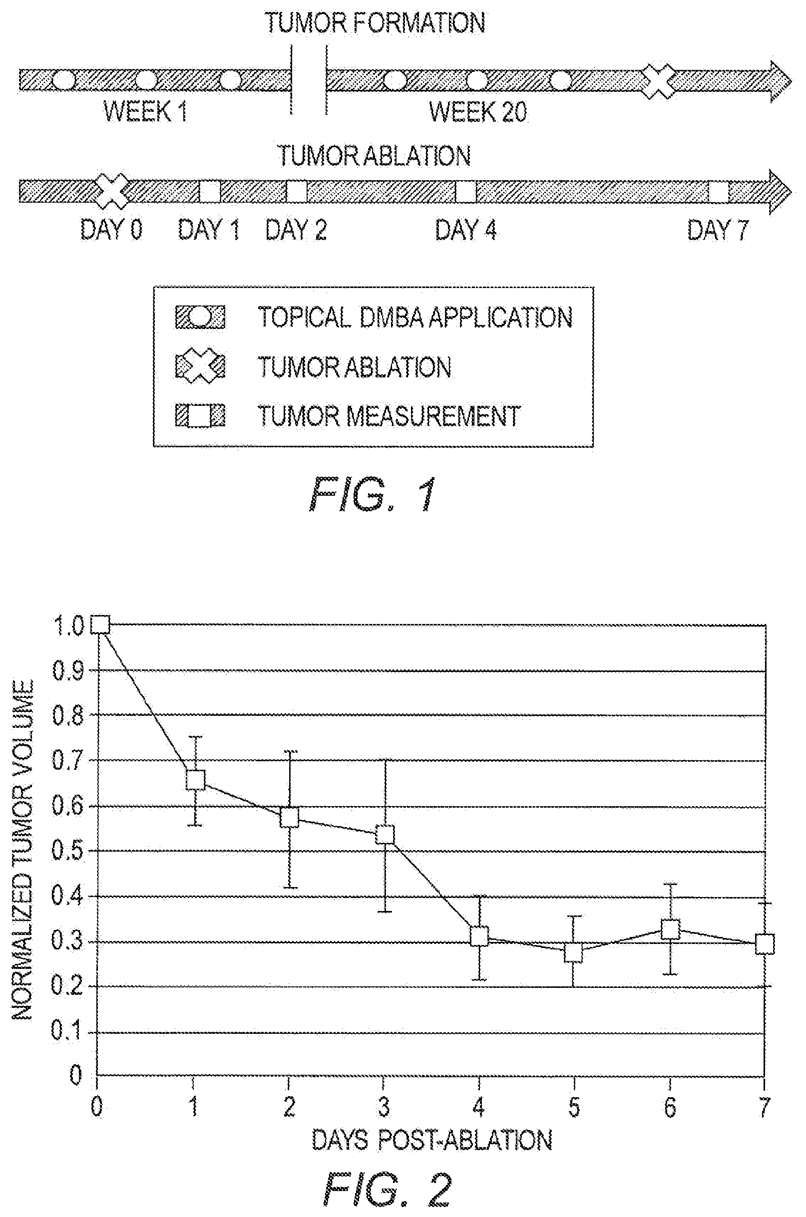 Patent US12350341 Figure 1 – Methods for the treatment of cancer and benign lesions by ablation