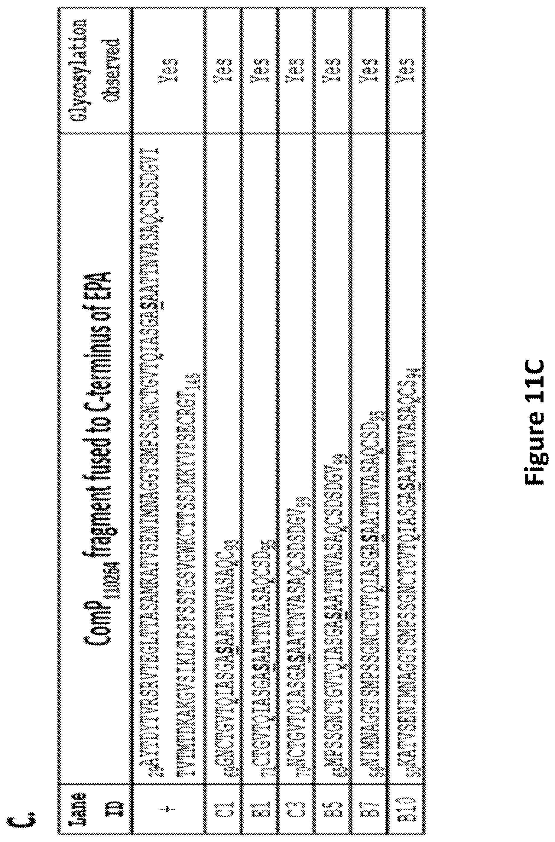 Patent US12350342 Figure 12 – O-linked glycosylation recognition motifs