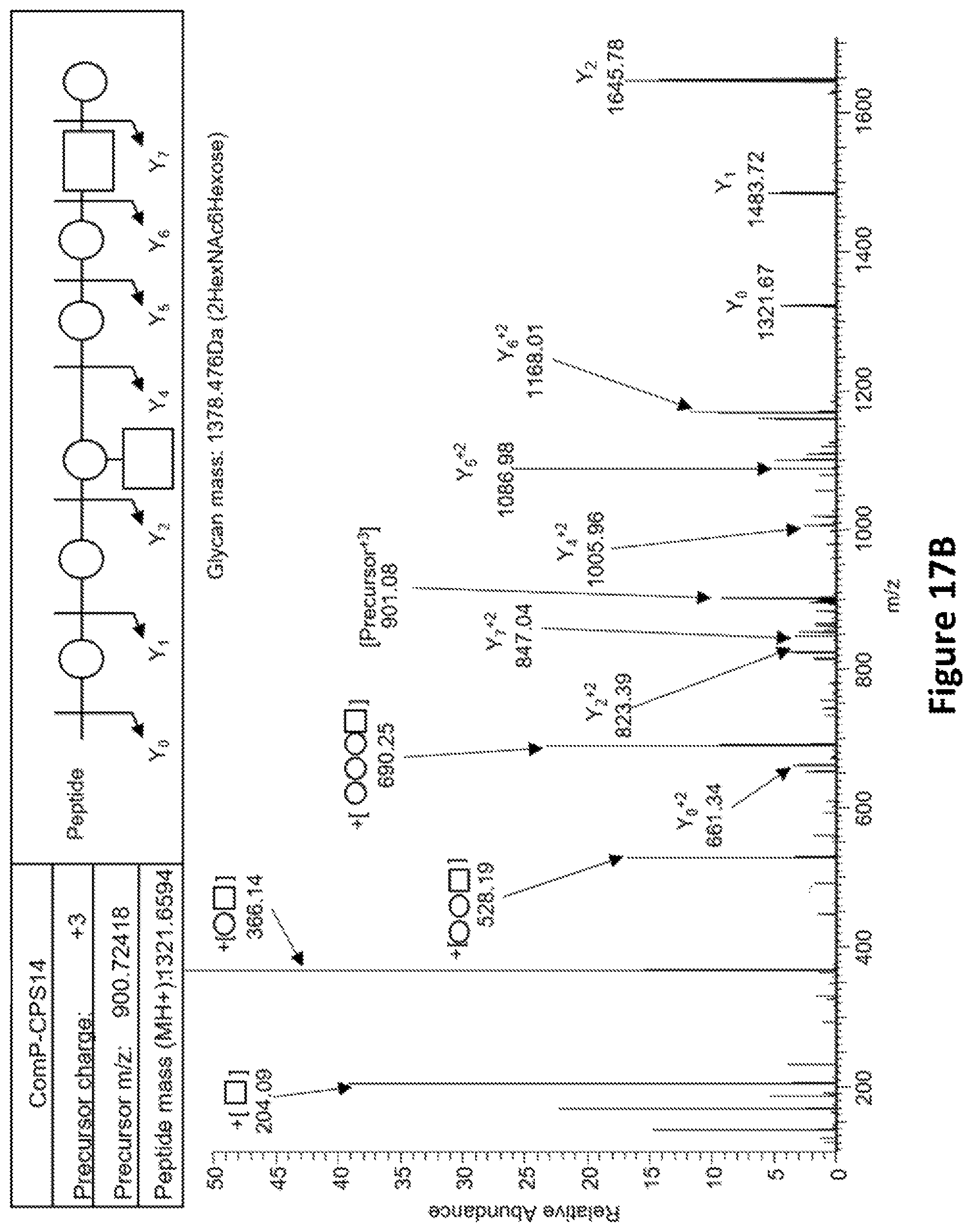 Patent US12350342 Figure 19 – O-linked glycosylation recognition motifs
